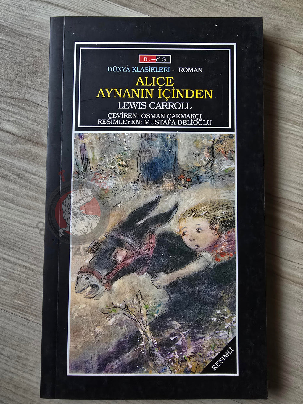 Lewis Carroll – Through the Looking-Glass 2012 Turkish Book Turkey Illustrated
