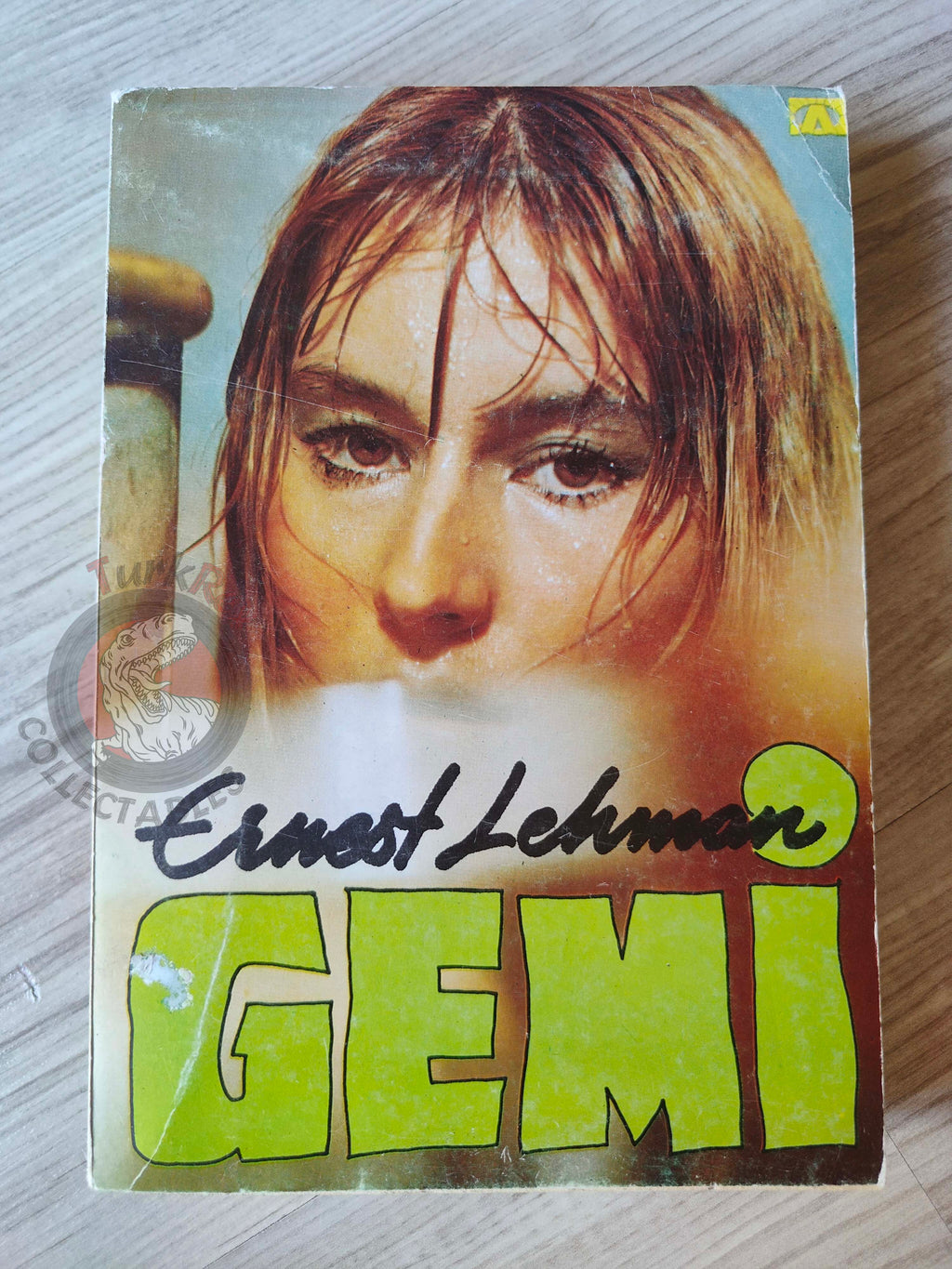 Ernest Lehman – The French Atlantic Affair 1980 Turkish Book Turkey