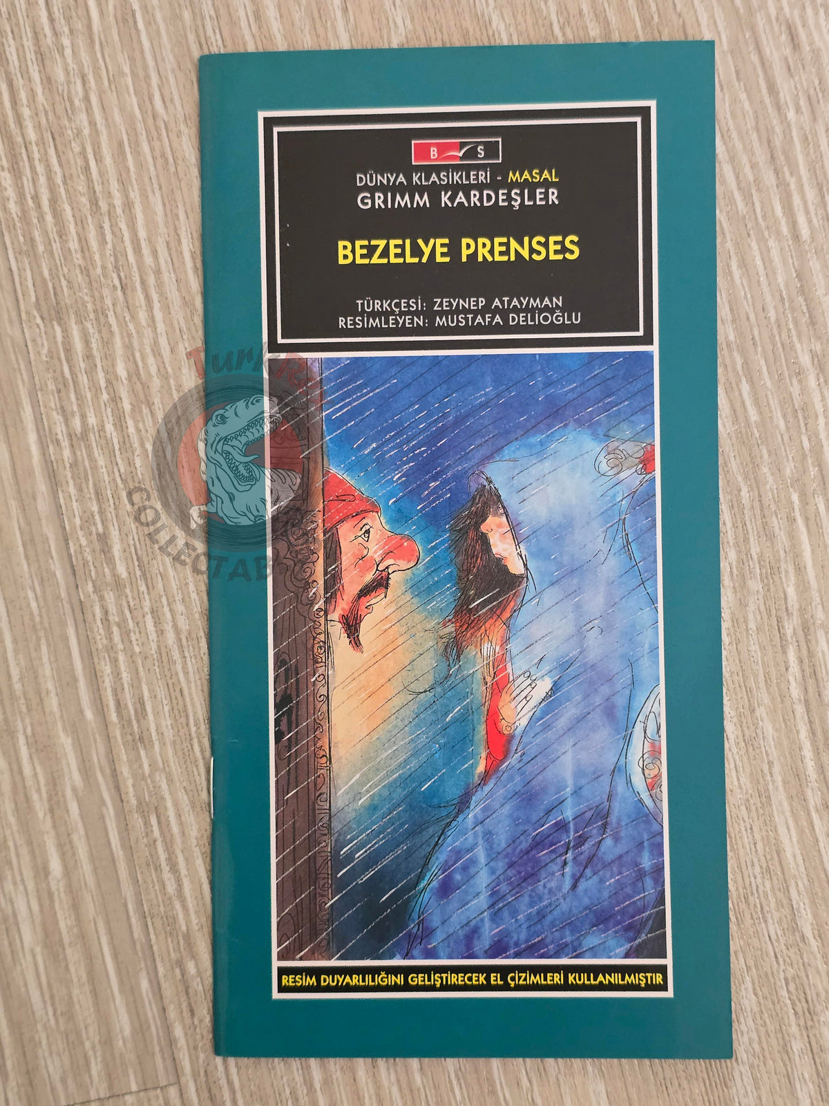 Grimm Brothers – The Princess and the Pea 2011 Turkish Book Turkey Illustrated