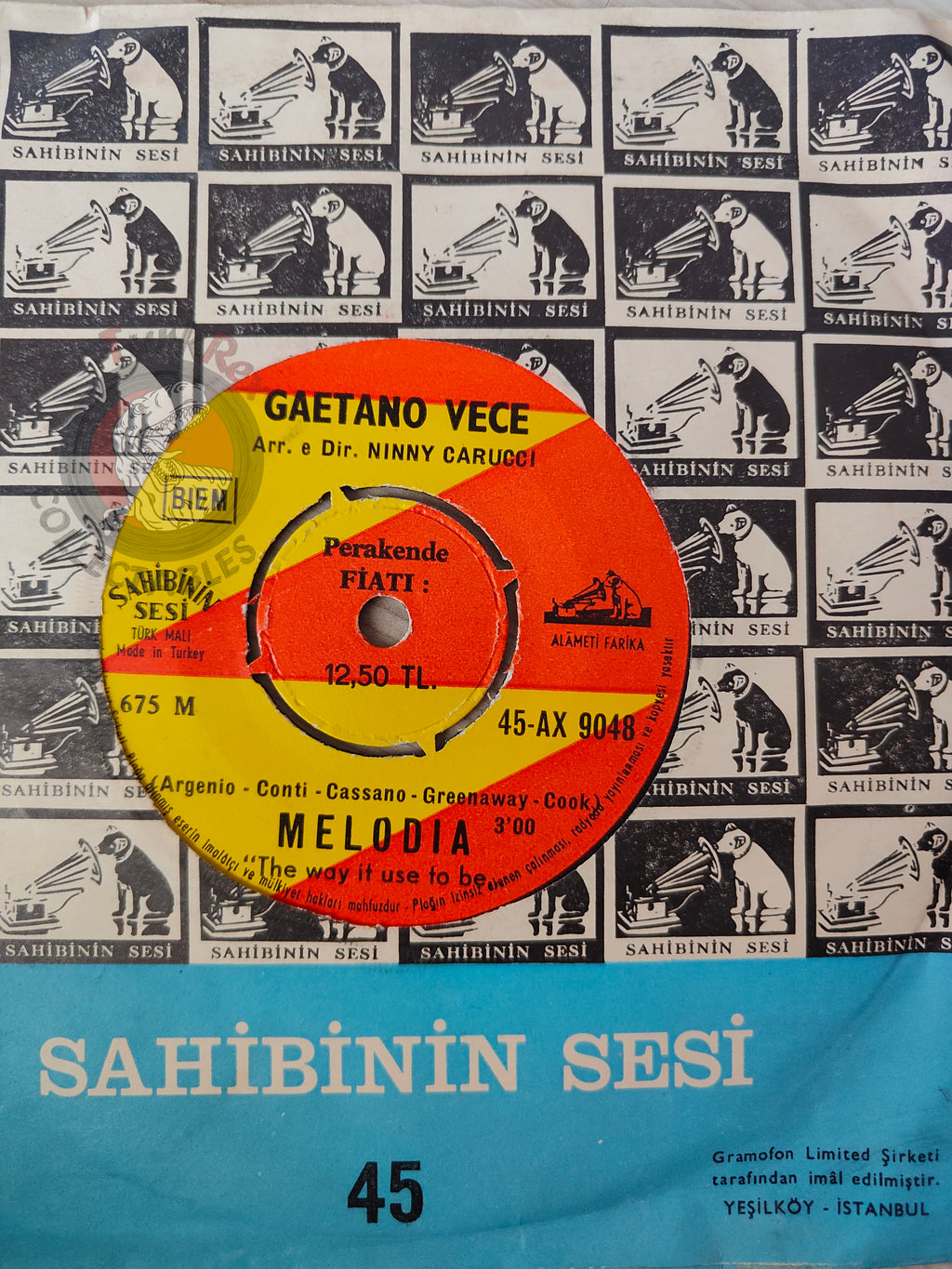 Gaetano Vece – Hai Ragione Tu 7" Turkish Pressing Vinyl Turkey Edition Bee Gees Cover