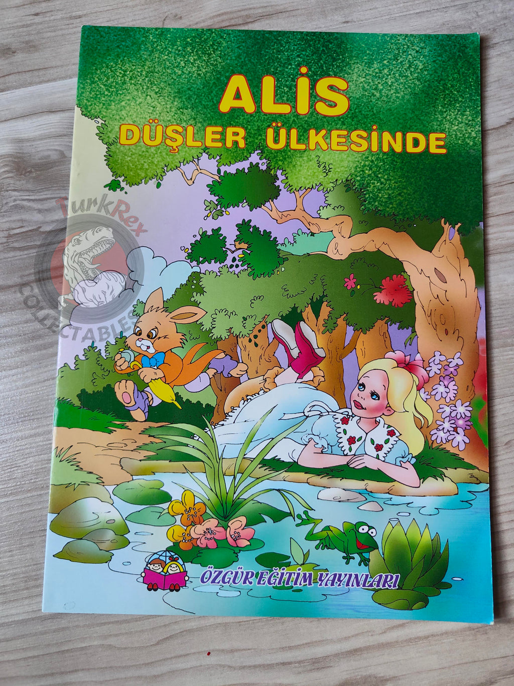 Lewis Carroll – Alice in Wonderland 2000s Turkish Book Turkey Illustrated 1