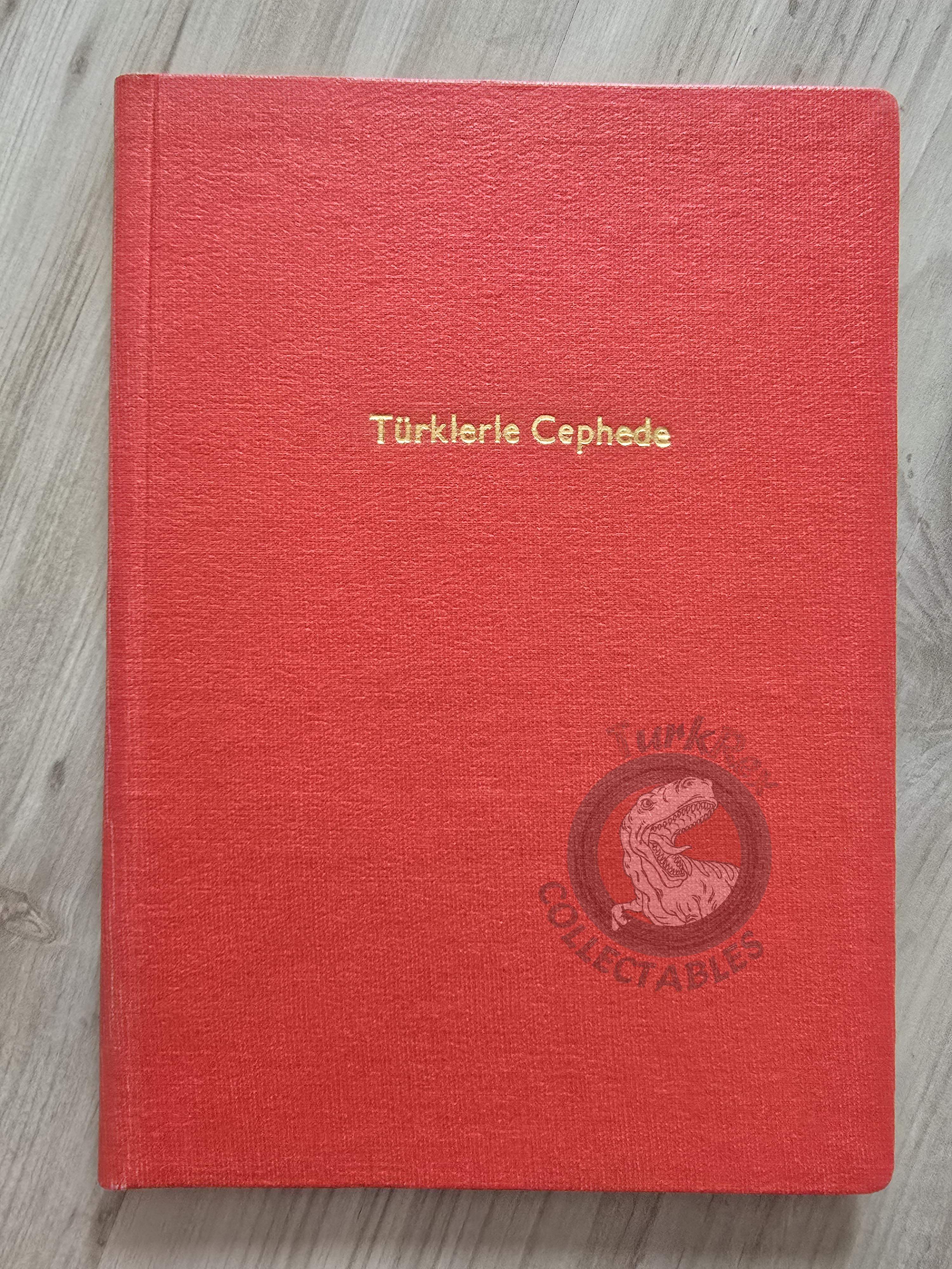 G. v. Hochwaechter – With the Turks at the Front 1979 Turkish Book Military Ottoman Empire Maps