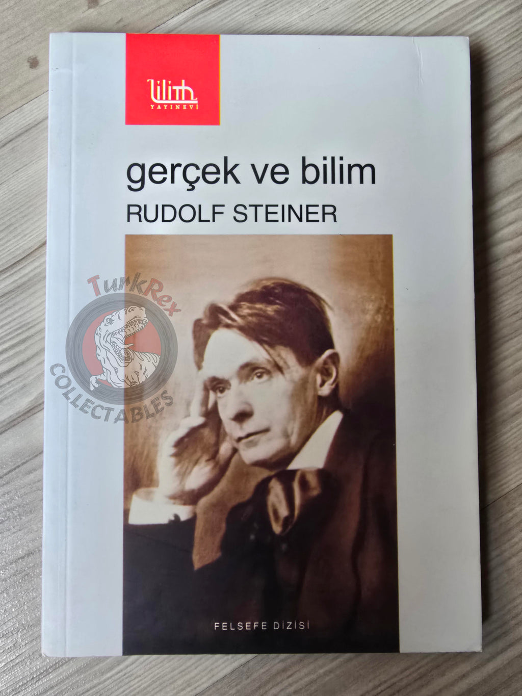 Rudolf Steiner – Wahrheit und Wissenschaft 2018 Turkish Book Turkey