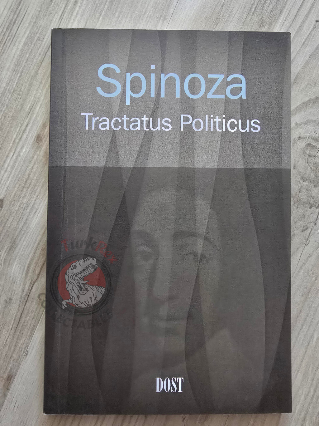 Baruch Spinoza – Tractatus Politicus 2007 Turkish Book Turkey