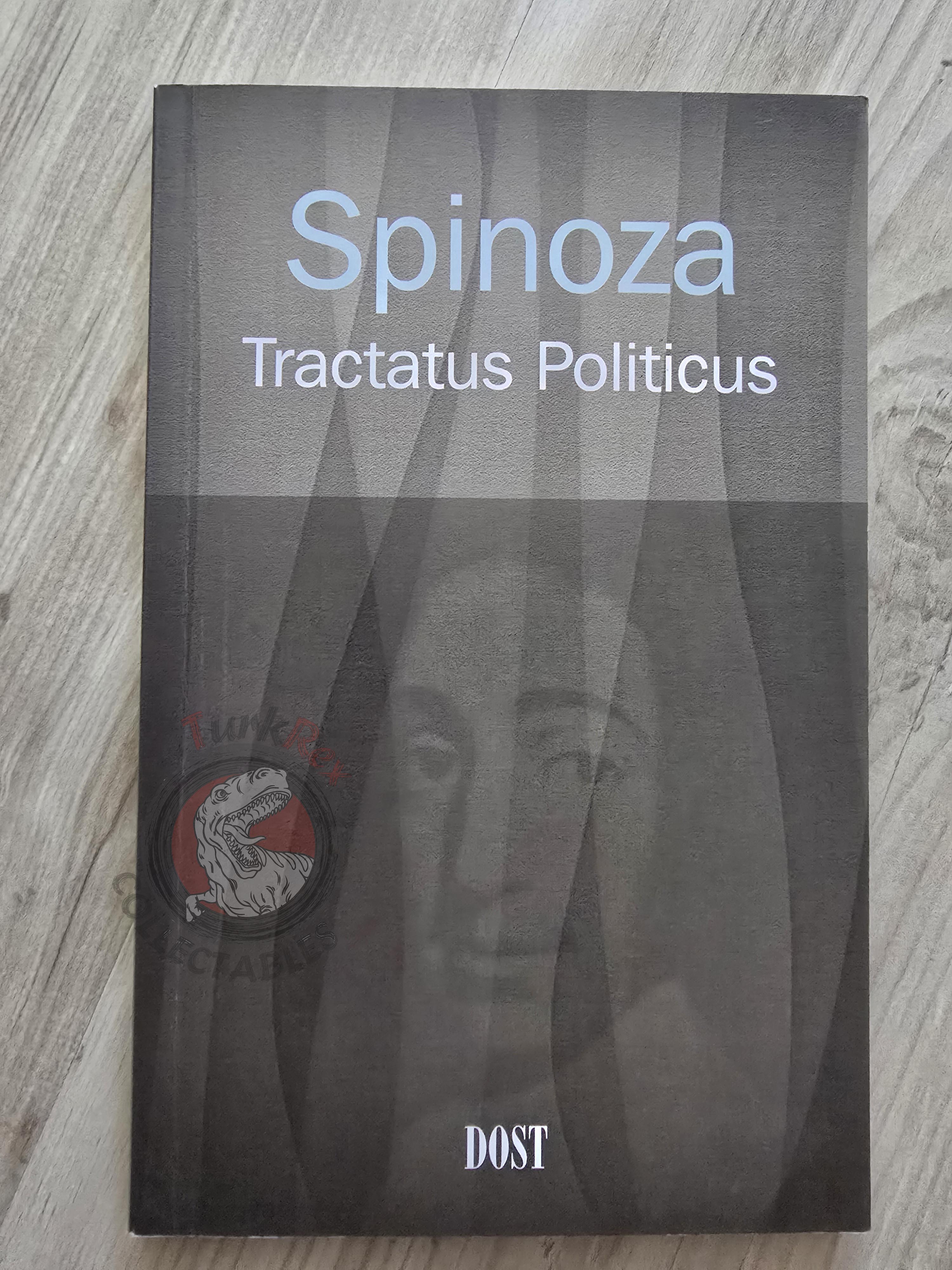Baruch Spinoza – Tractatus Politicus 2007 Turkish Book Turkey