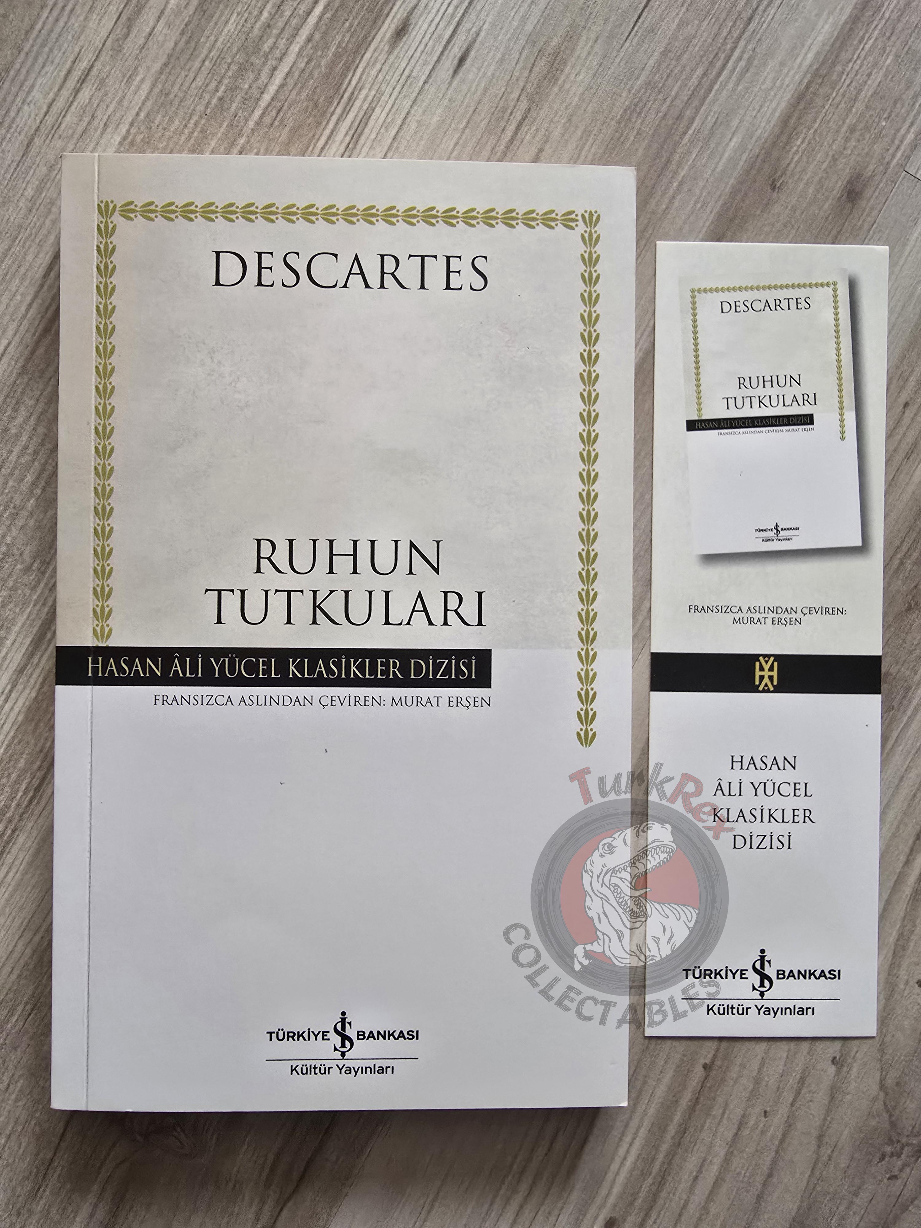 René Descartes – The Passions of the Soul 2020 Turkish Book Turkey