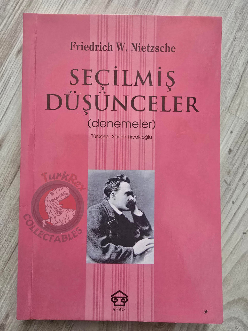 Friedrich Nietzsche – Selected Thoughts 2003 Turkish Book Turkey