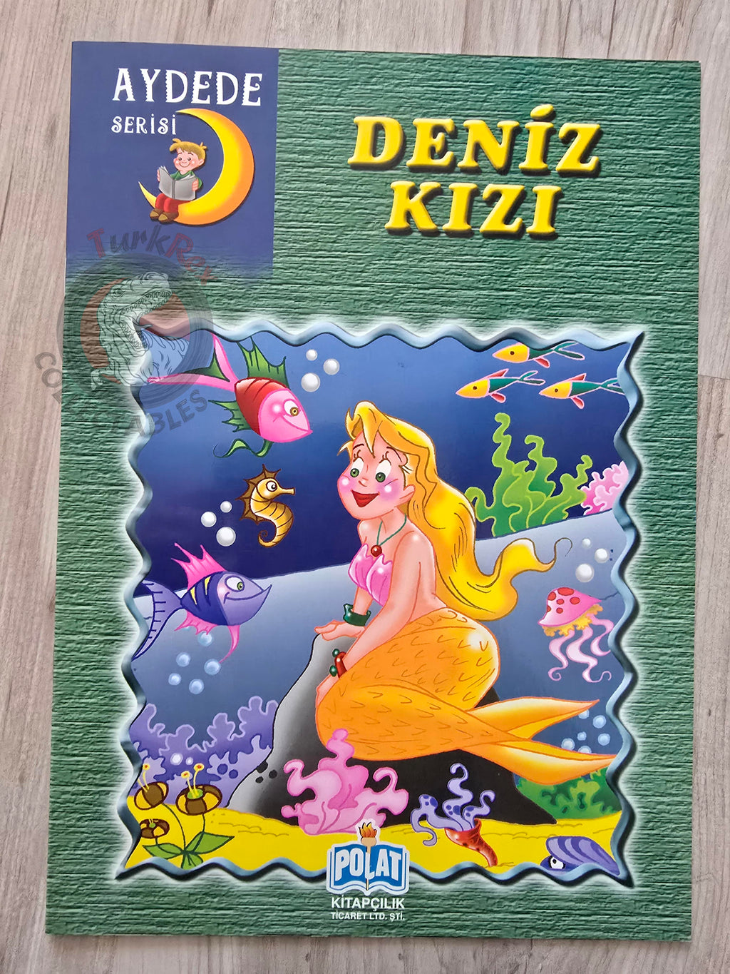 Hans Christian Andersen – The Little Mermaid 2003 Turkish Book Turkey Illustrated 1