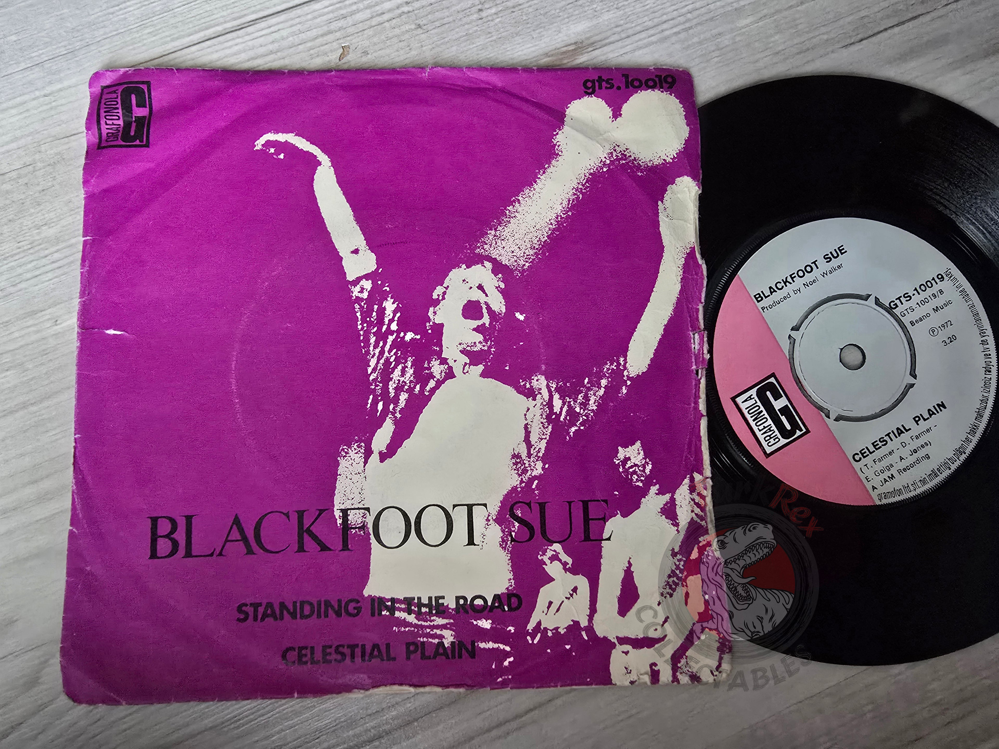 Blackfoot Sue – Standing In The Road 7" Turkish Pressing Vinyl Turkey Edition