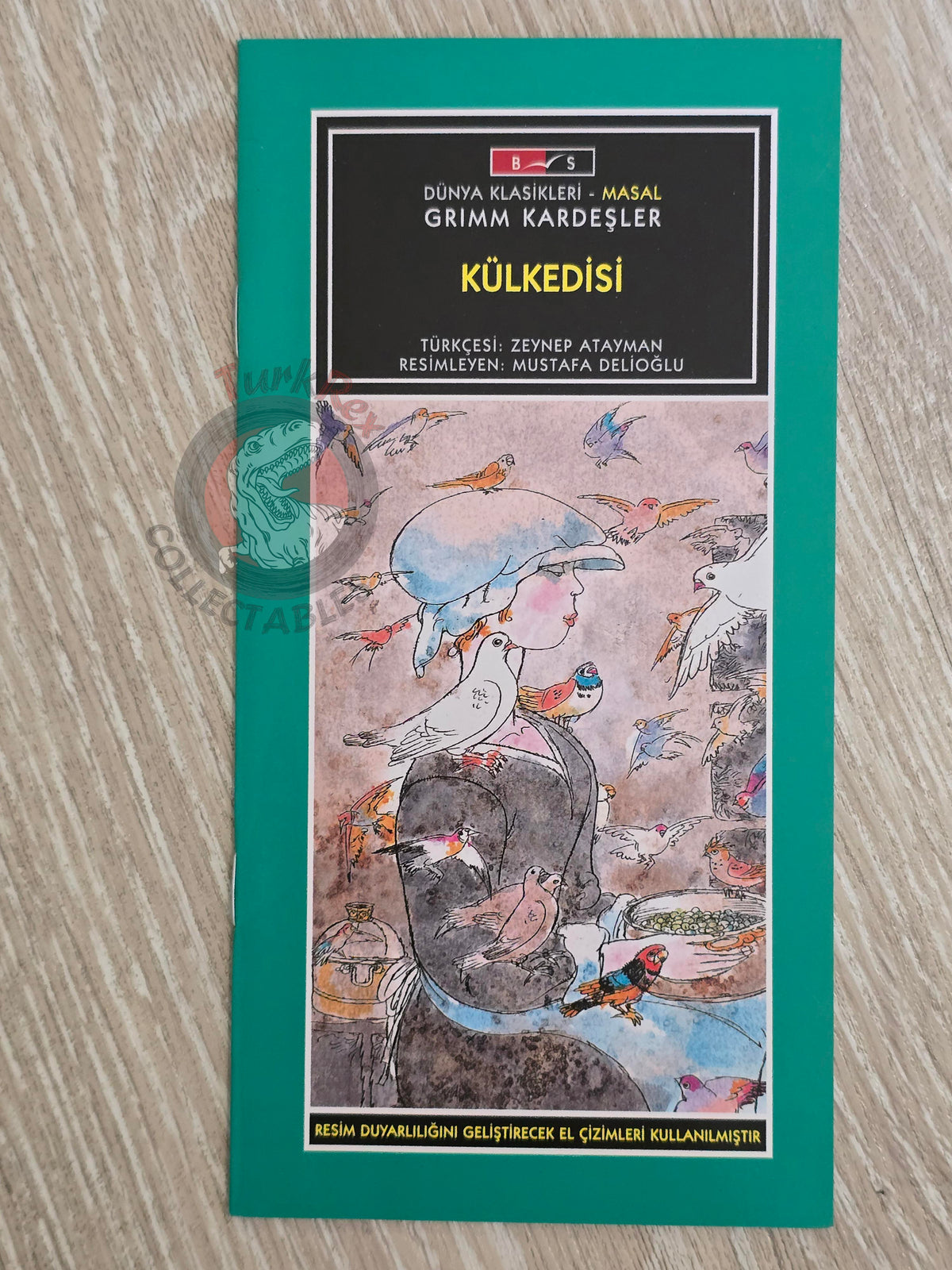 Grimm Brothers – Cinderella 2011 Turkish Book Turkey Illustrated 2