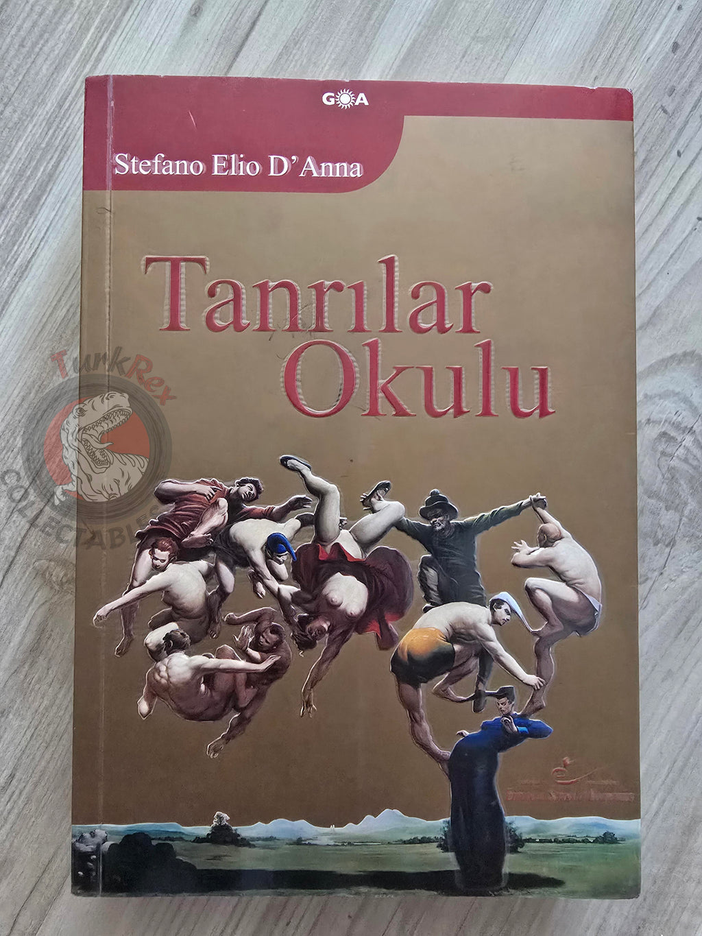Stefano Elio D'Anna – The School for Gods 2009 Turkish Book Turkey