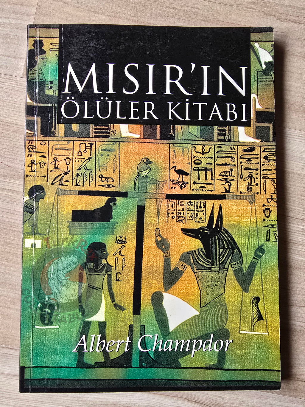 The Book of the Dead 2006 Turkish Book Turkey Albert Champdor Ancient Egypt