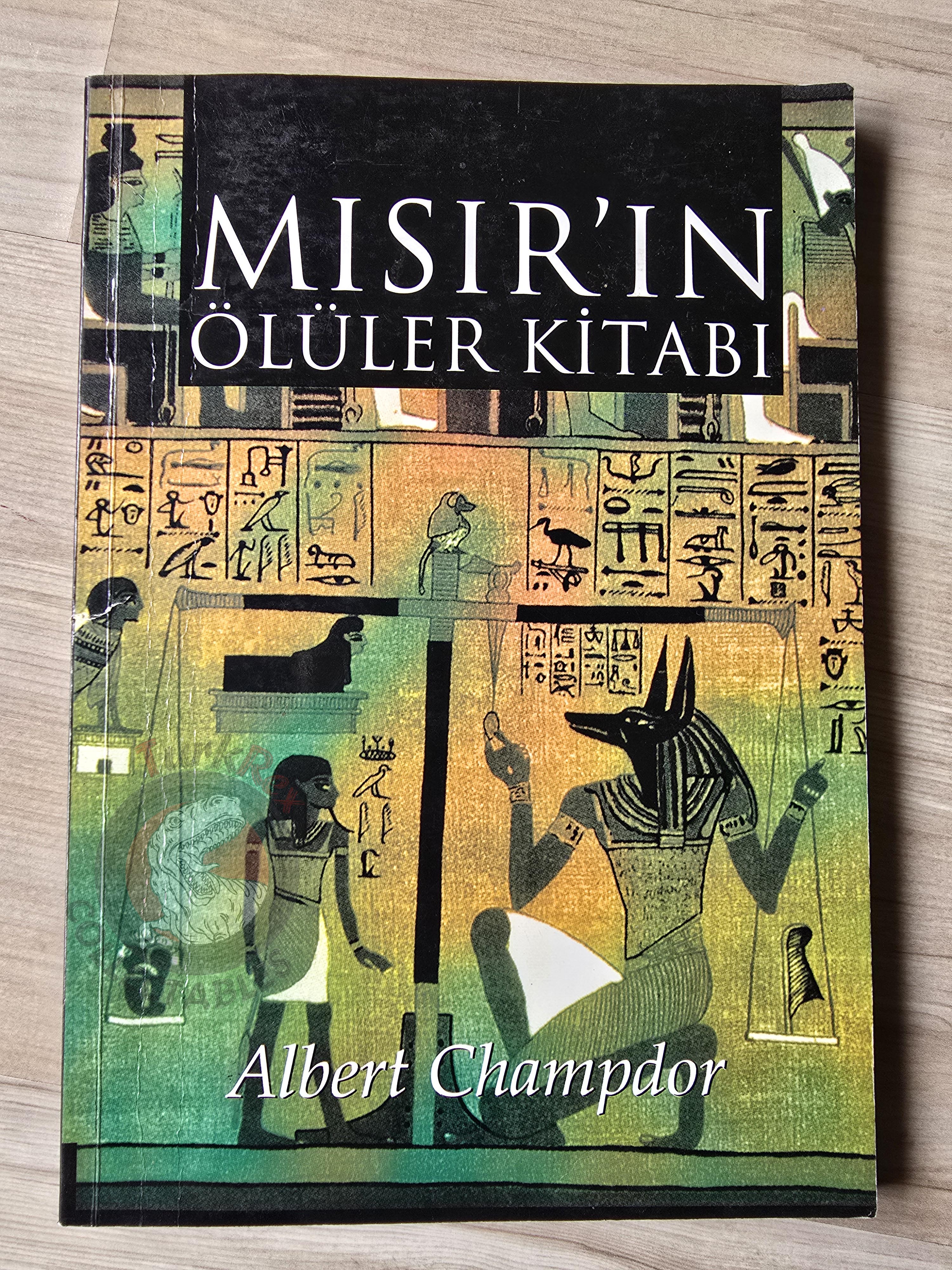 The Book of the Dead 2006 Turkish Book Turkey Albert Champdor Ancient Egypt