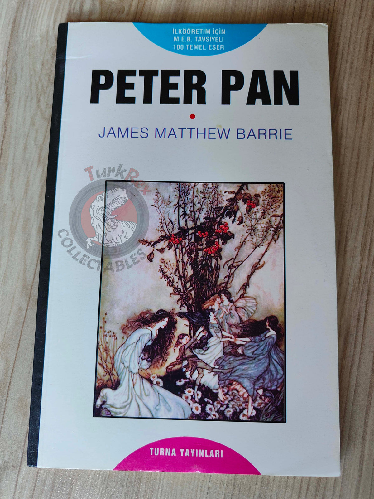 J. M. Barrie – Peter Pan 2005 Turkish Book Turkey 4