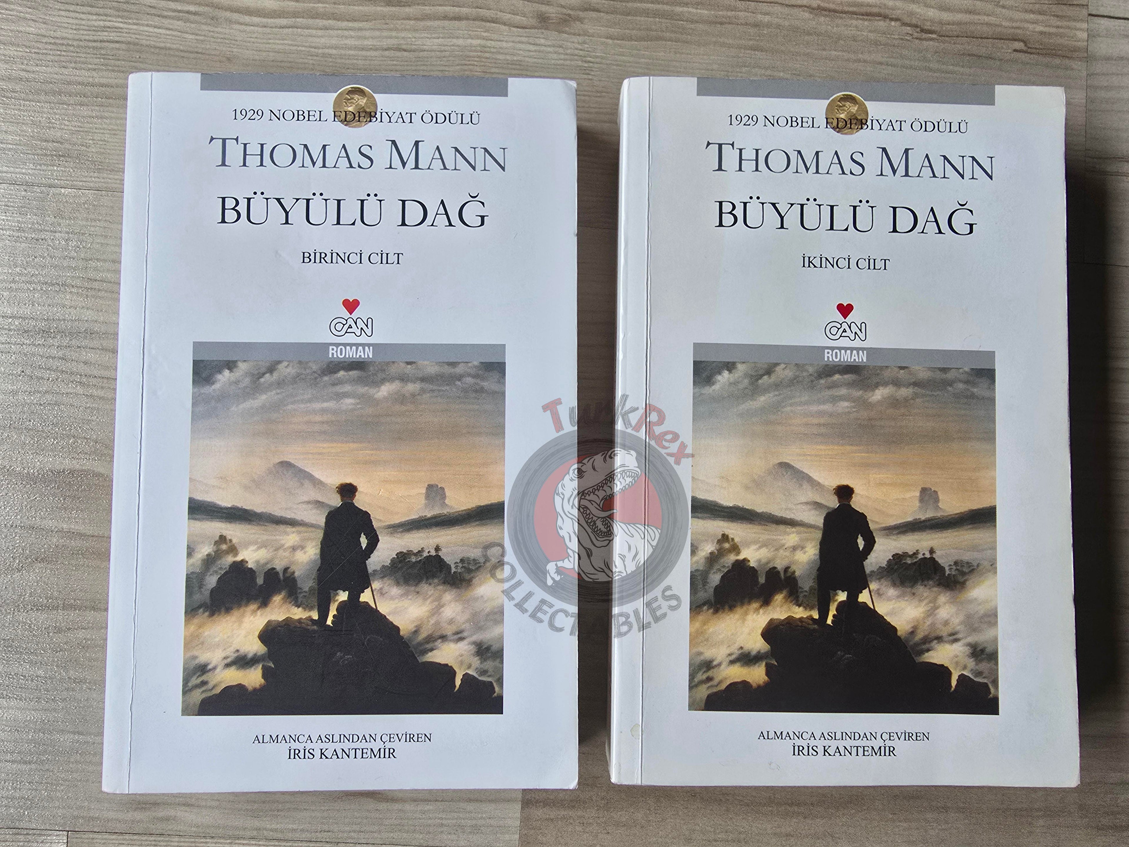 Thomas Mann – The Magic Mountain 2011 Turkish Book Turkey