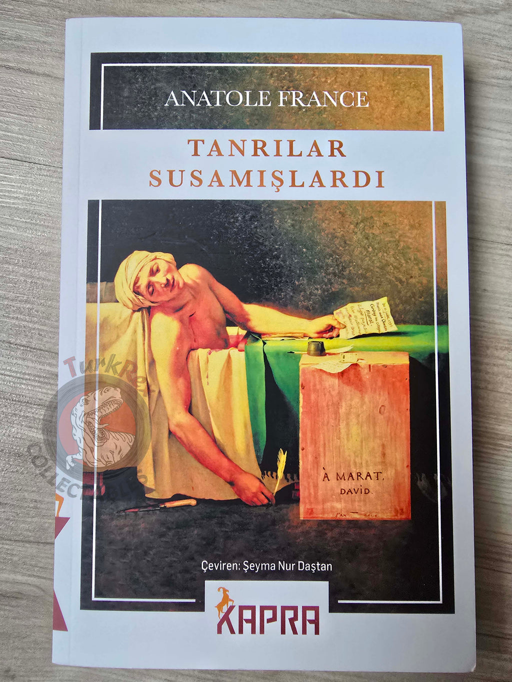 Anatole France – The Gods Are Athirst  2021 Turkish Book Turkey