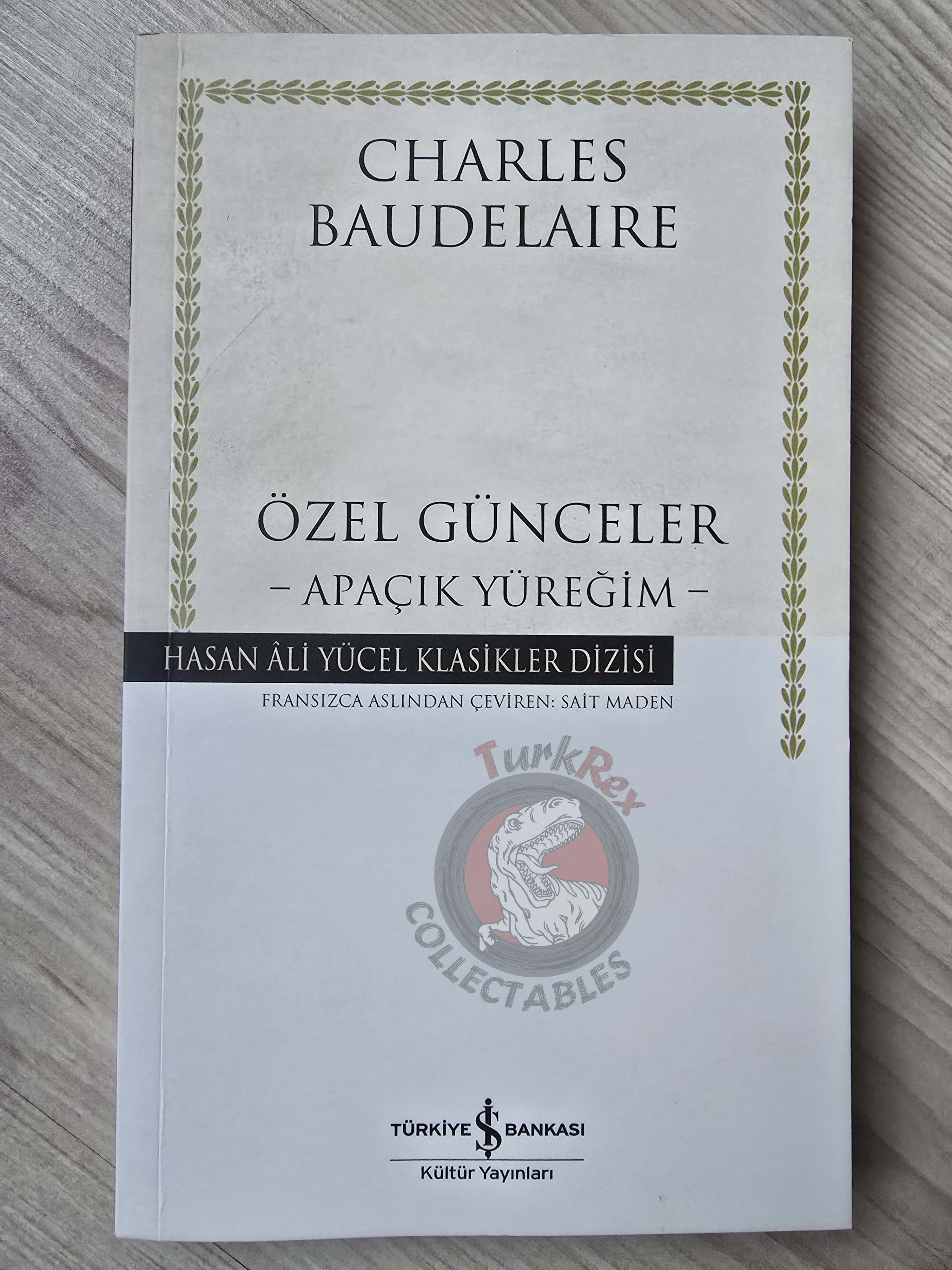 Charles Baudelaire – Journaux Intimes 2015 Turkish Book Turkey