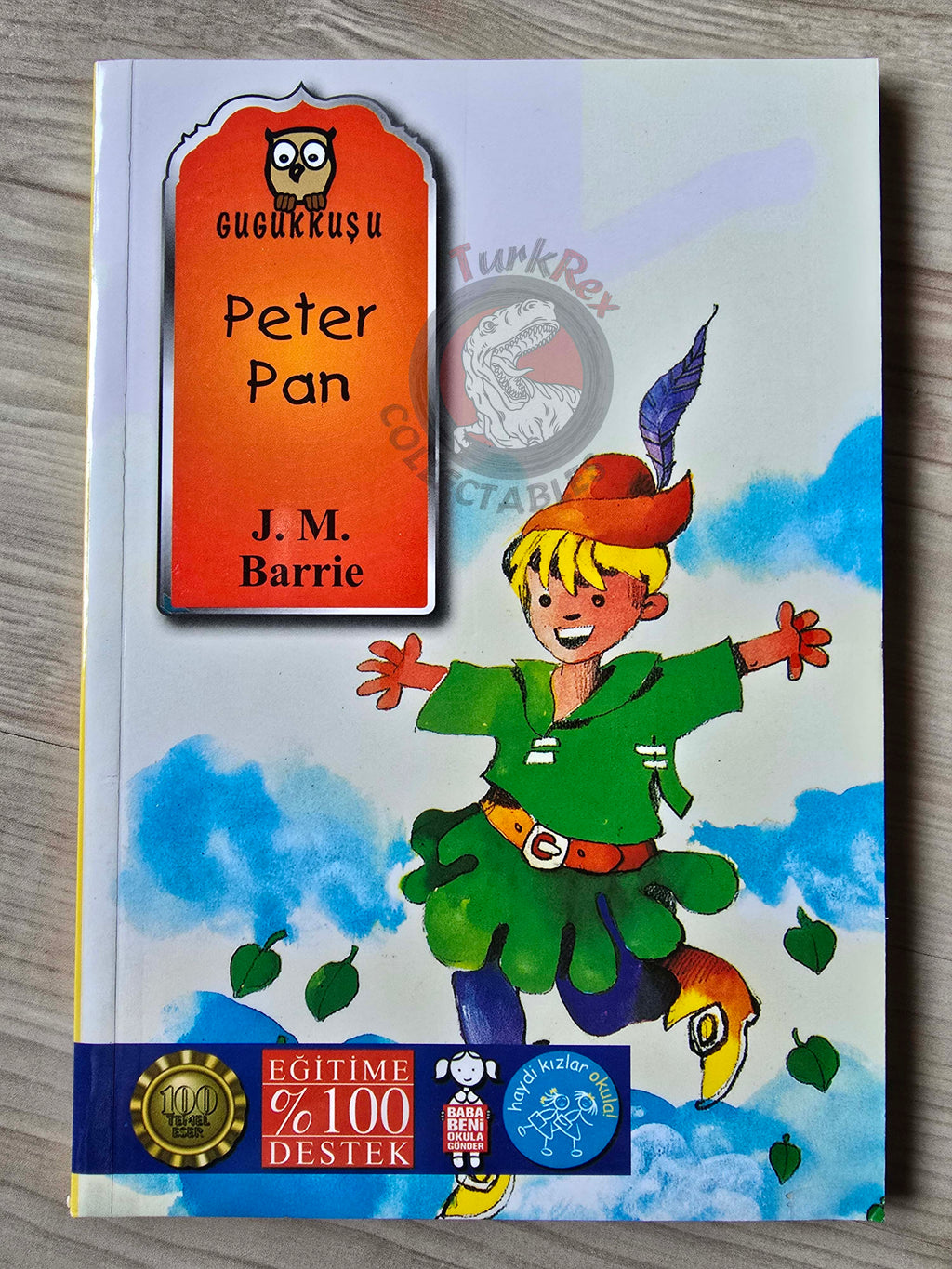 J. M. Barrie – Peter Pan 2011 Turkish Book Turkey Illustrated 2