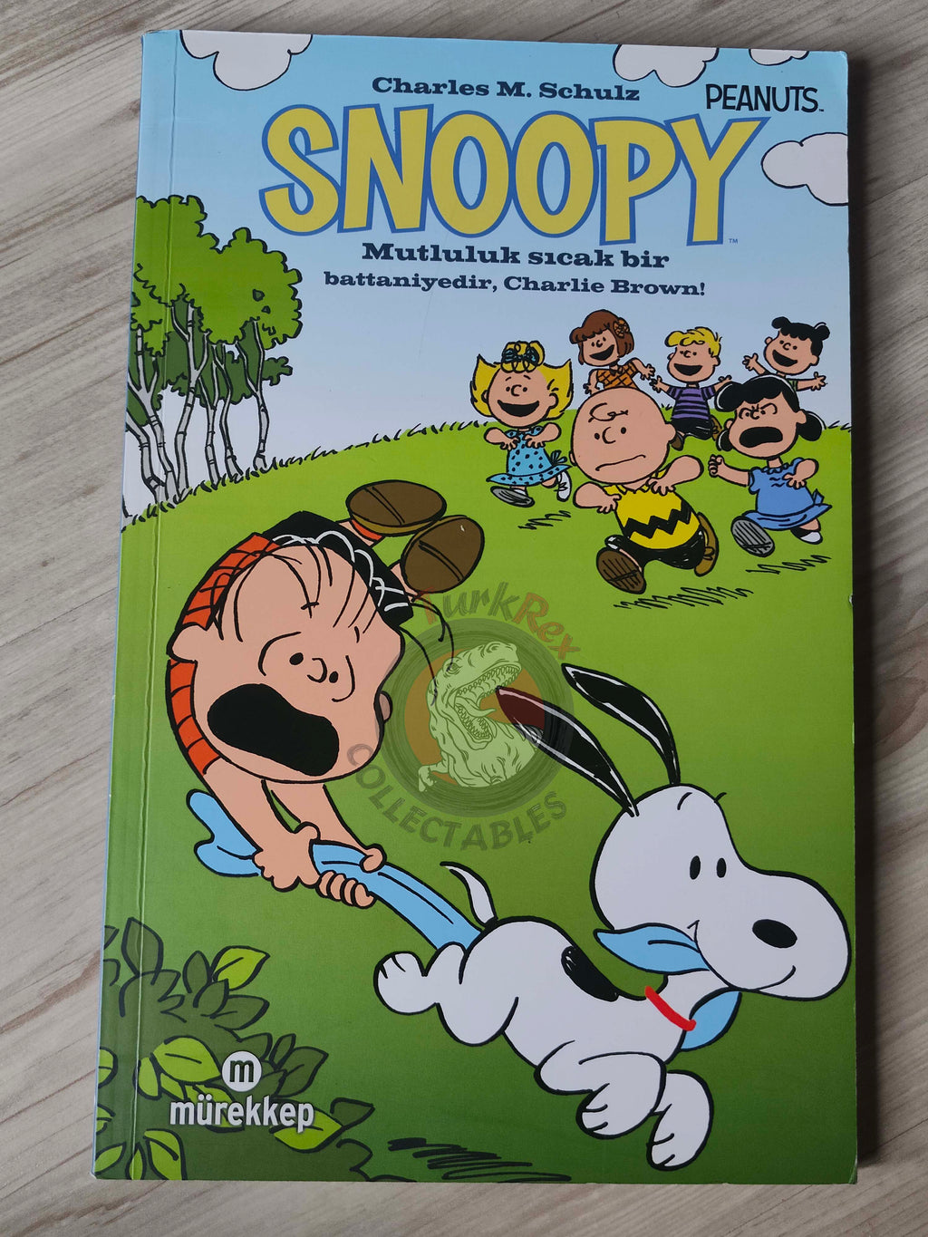 Snoopy Happiness Is a Warm Blanket Charlie Brown Turkish Comic Turkey Schulz