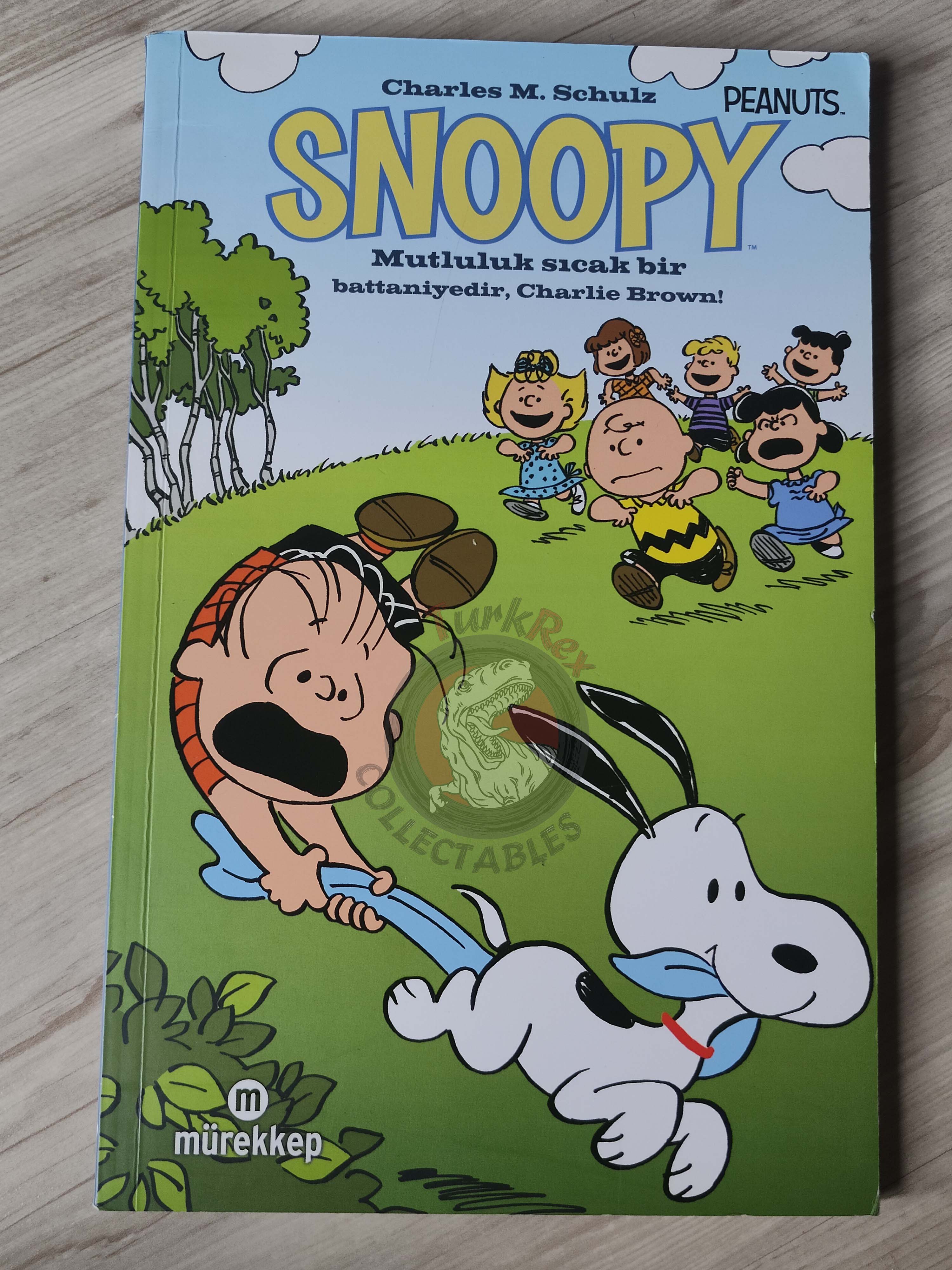 Snoopy Happiness Is a Warm Blanket Charlie Brown Turkish Comic Turkey Schulz