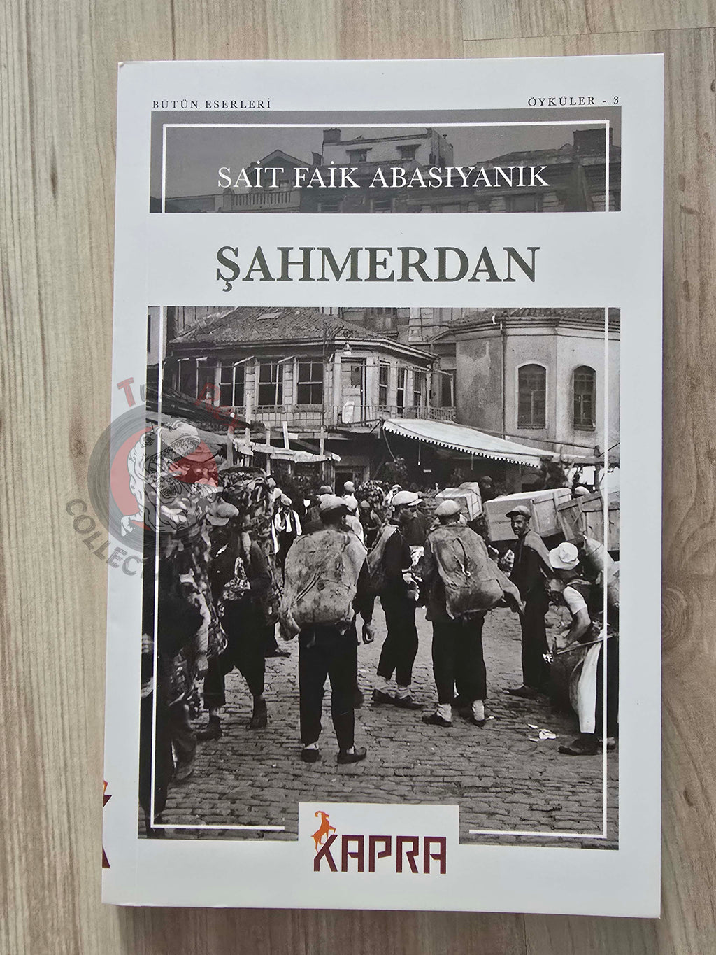 Sait Faik Abasıyanık – Shahmaran Şahmerdan 2025 Turkish Book Turkey