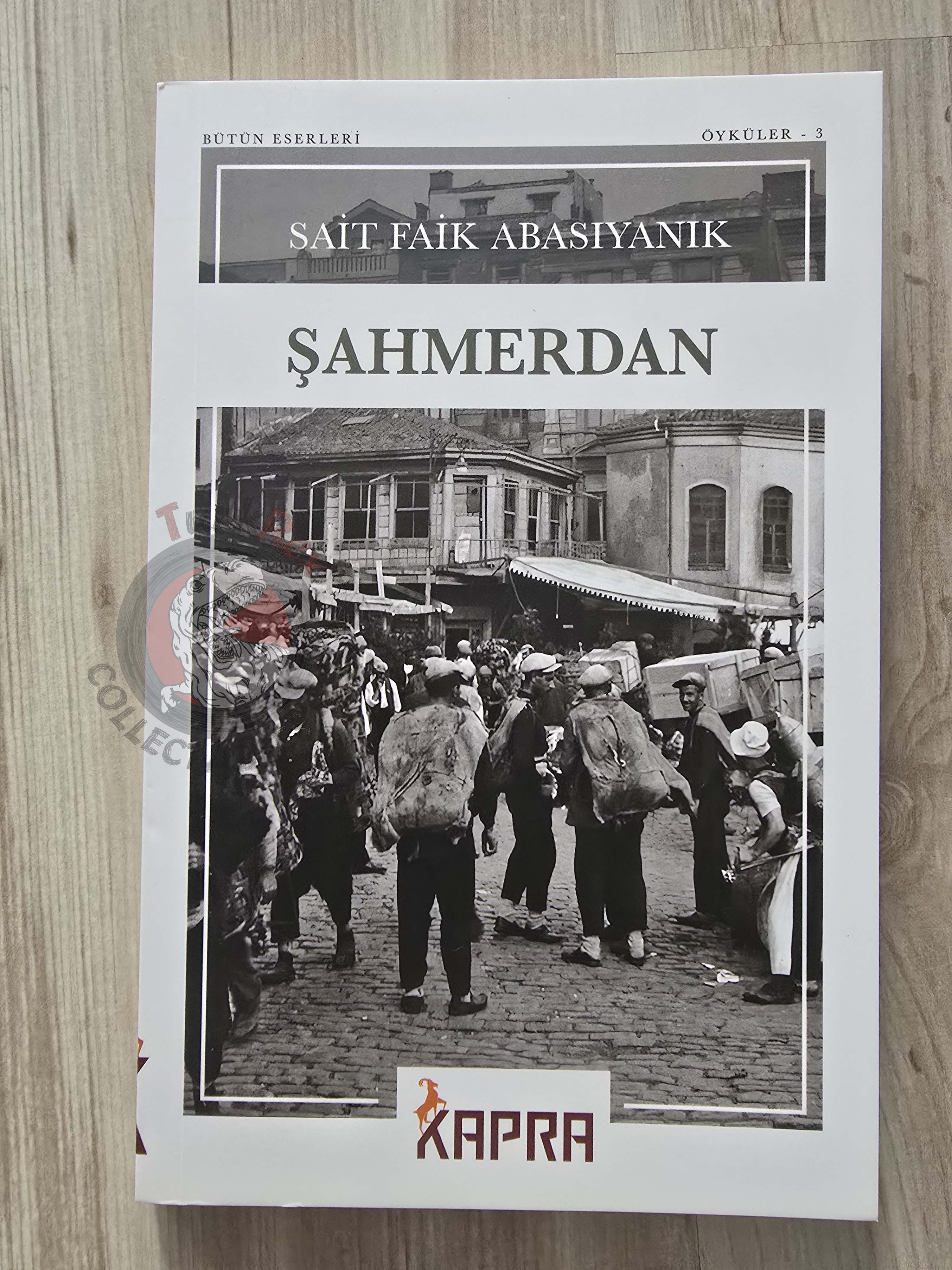 Sait Faik Abasıyanık – Shahmaran Şahmerdan 2025 Turkish Book Turkey