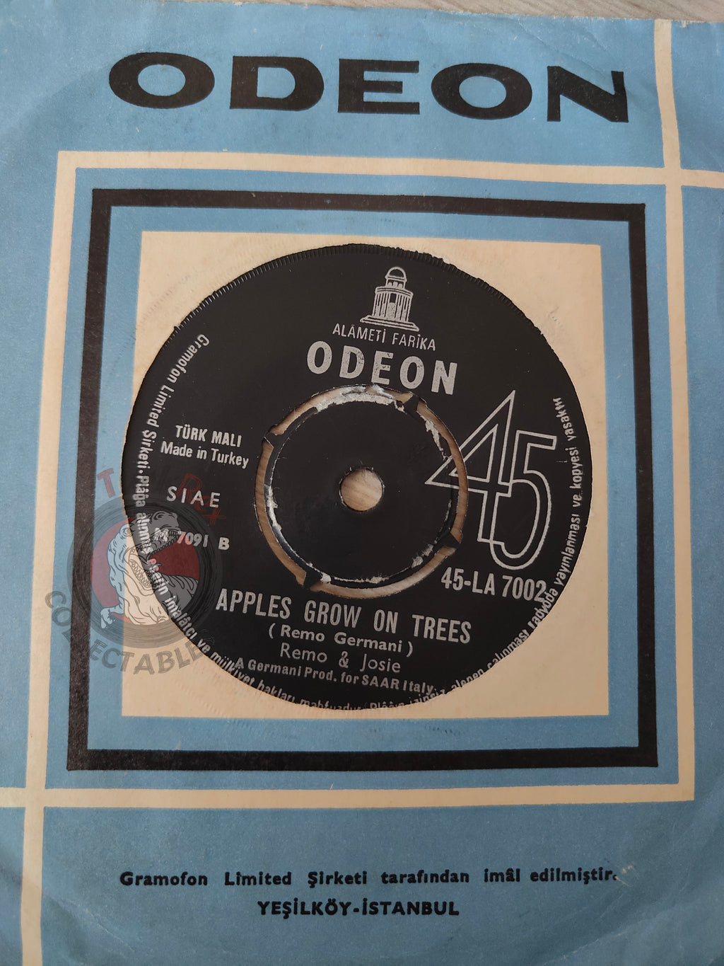 Remo & Josie – In This World We Live In 7" Turkish Pressing Vinyl Turkey Edition