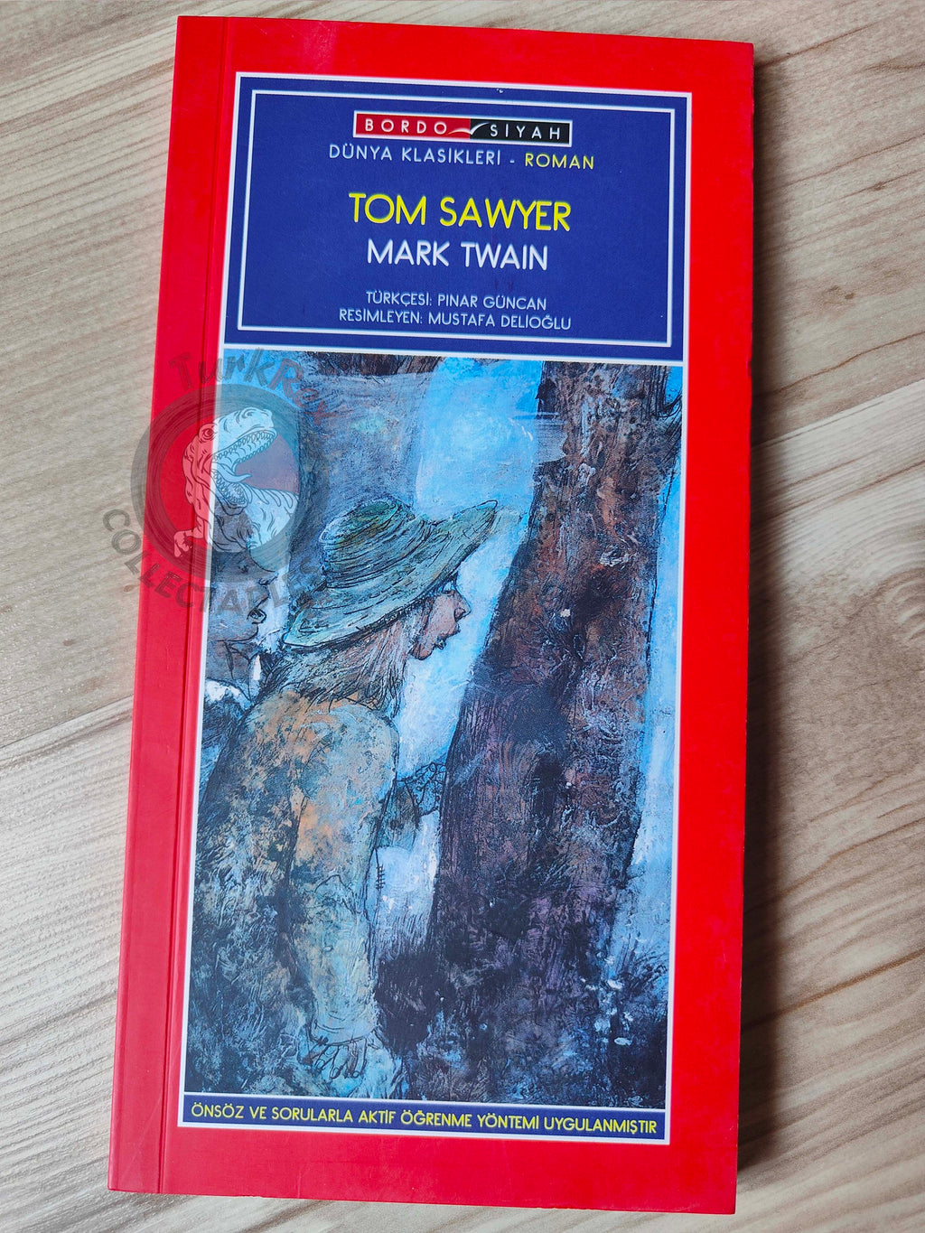Mark Twain – Tom Sawyer 2010 Turkish Book Turkey Illustrated