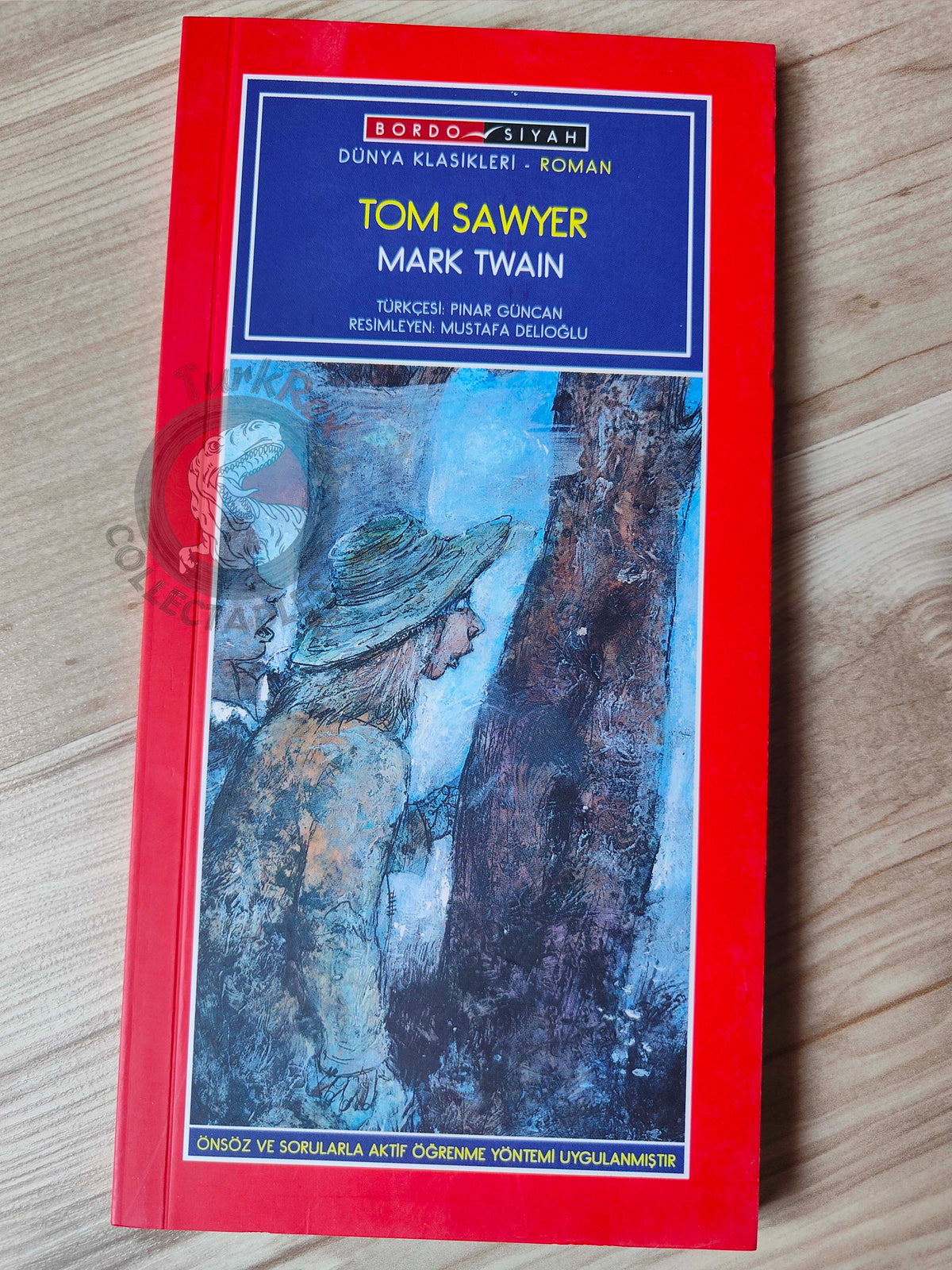 Mark Twain – Tom Sawyer 2010 Turkish Book Turkey Illustrated