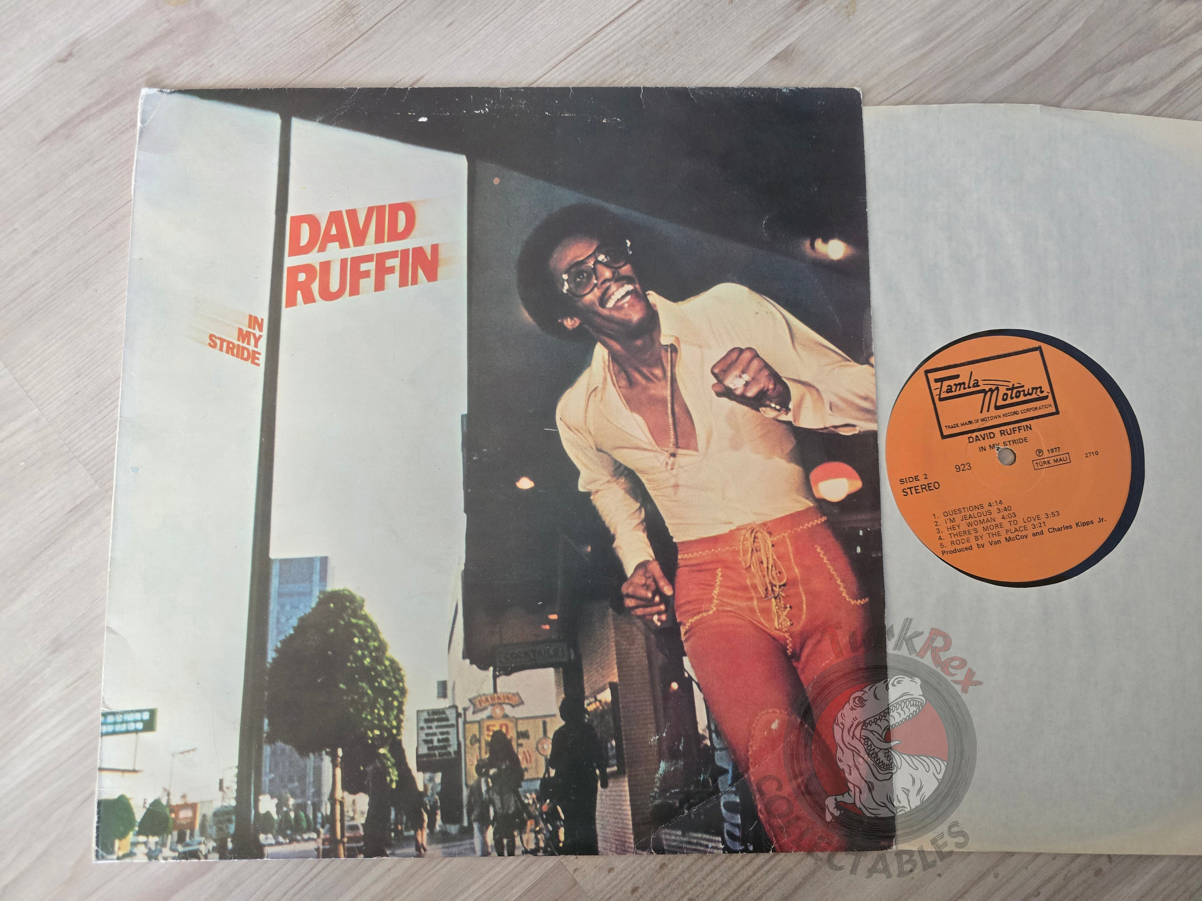 David Ruffin – In My Stride Turkish Pressing Vinyl Turkey Edition