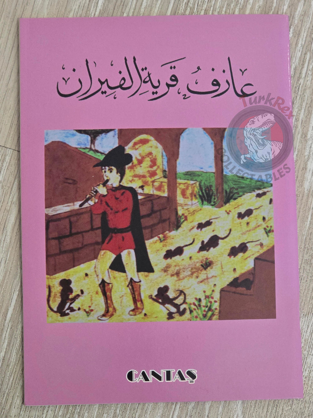 Grimm Brothers – Pied Piper of Hamelin 2006 Arabic Book Turkey Illustrated