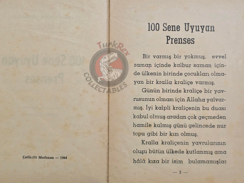 Grimm Brothers –  Sleeping Beauty 1964 Turkish Book Turkey Illustrated