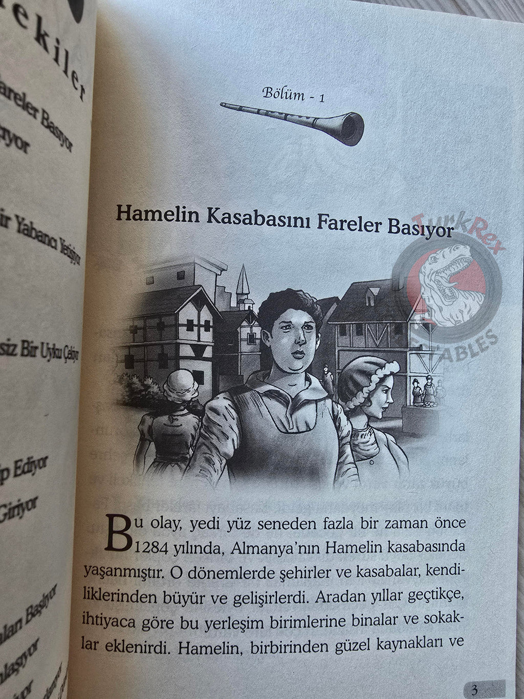 Grimm Brothers – Pied Piper of Hamelin 2012 Turkish Book Turkey Illustrated