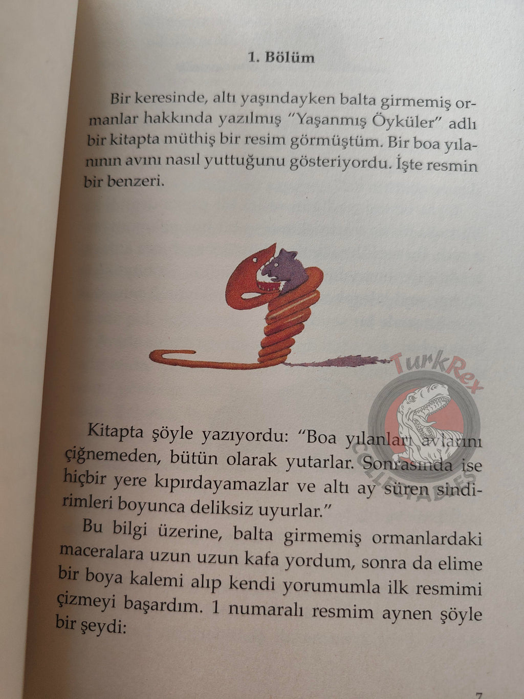 Antoine de Saint-Exupéry – Le Petit Prince 2015 Turkish Book Turkey Illustrated Little 1