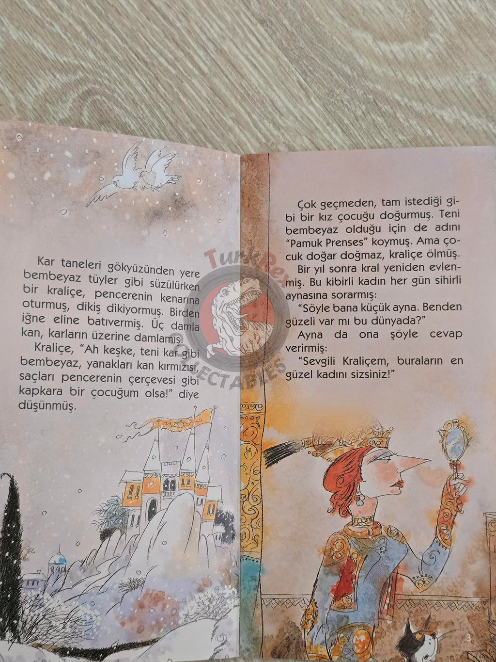 Grimm Brothers – Snow White and the Seven Dwarfs 2011 Turkish Book Turkey Illustrated 2