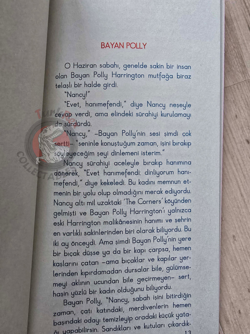 Eleanor H. Porter – Pollyanna 2010 Turkish Book Turkey Illustrated