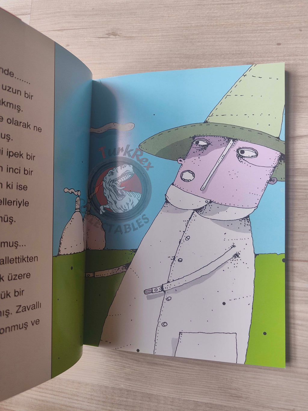 Jeanne-Marie Leprince de Beaumont – Beauty and the Beast Turkish Book Turkey Illustrated