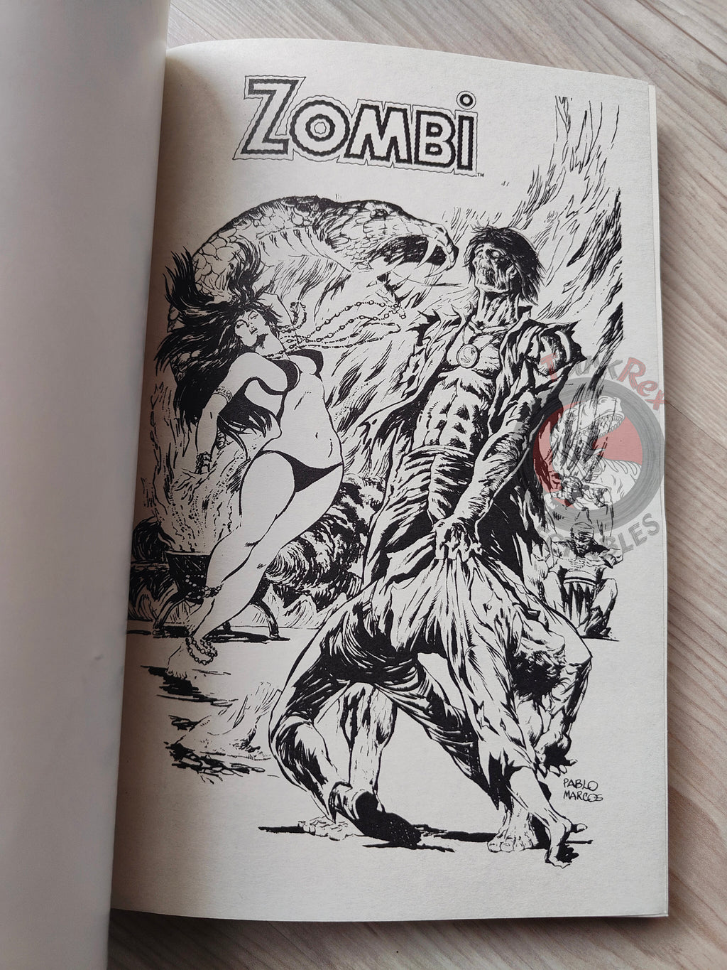 Tales of the Zombie Issue #1 to #9 2010 Turkish Comic Turkey Essential #2