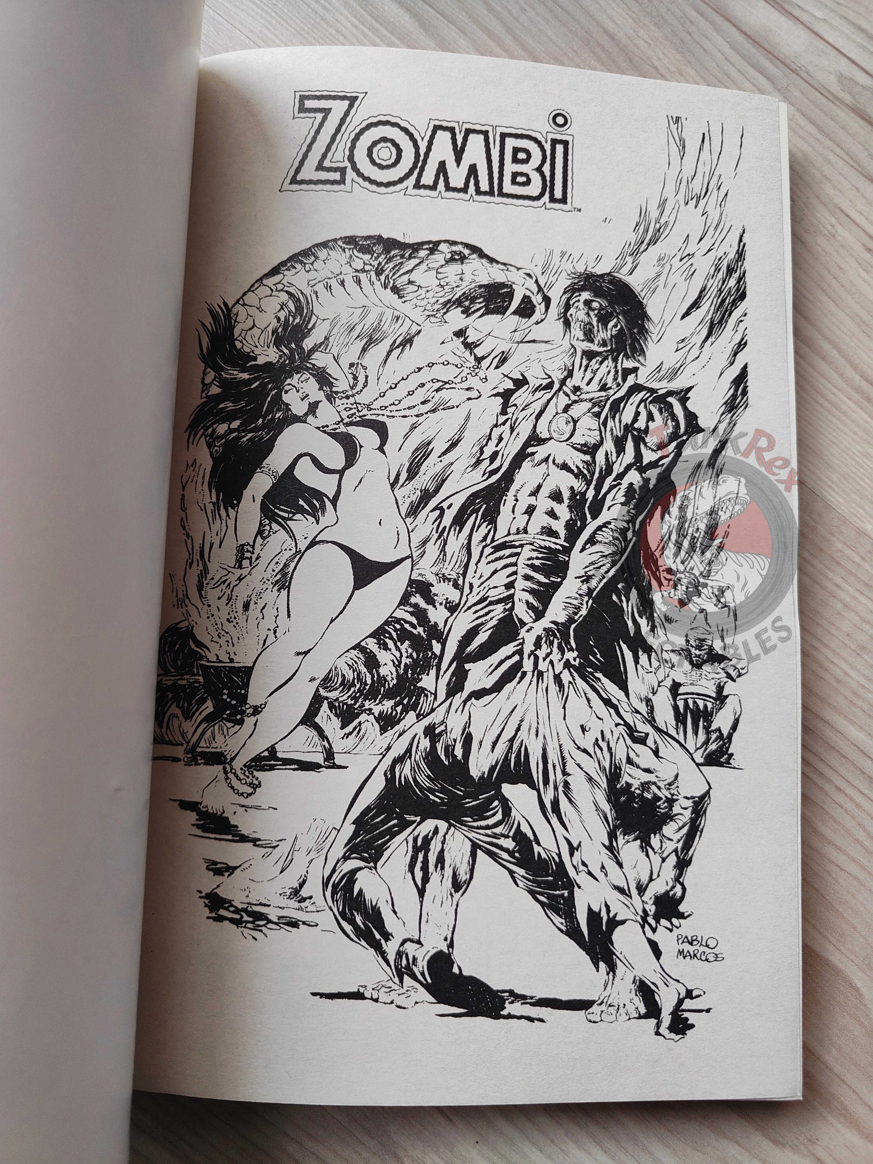 Tales of the Zombie Issue #1 to #9 2010 Turkish Comic Turkey Essential #2