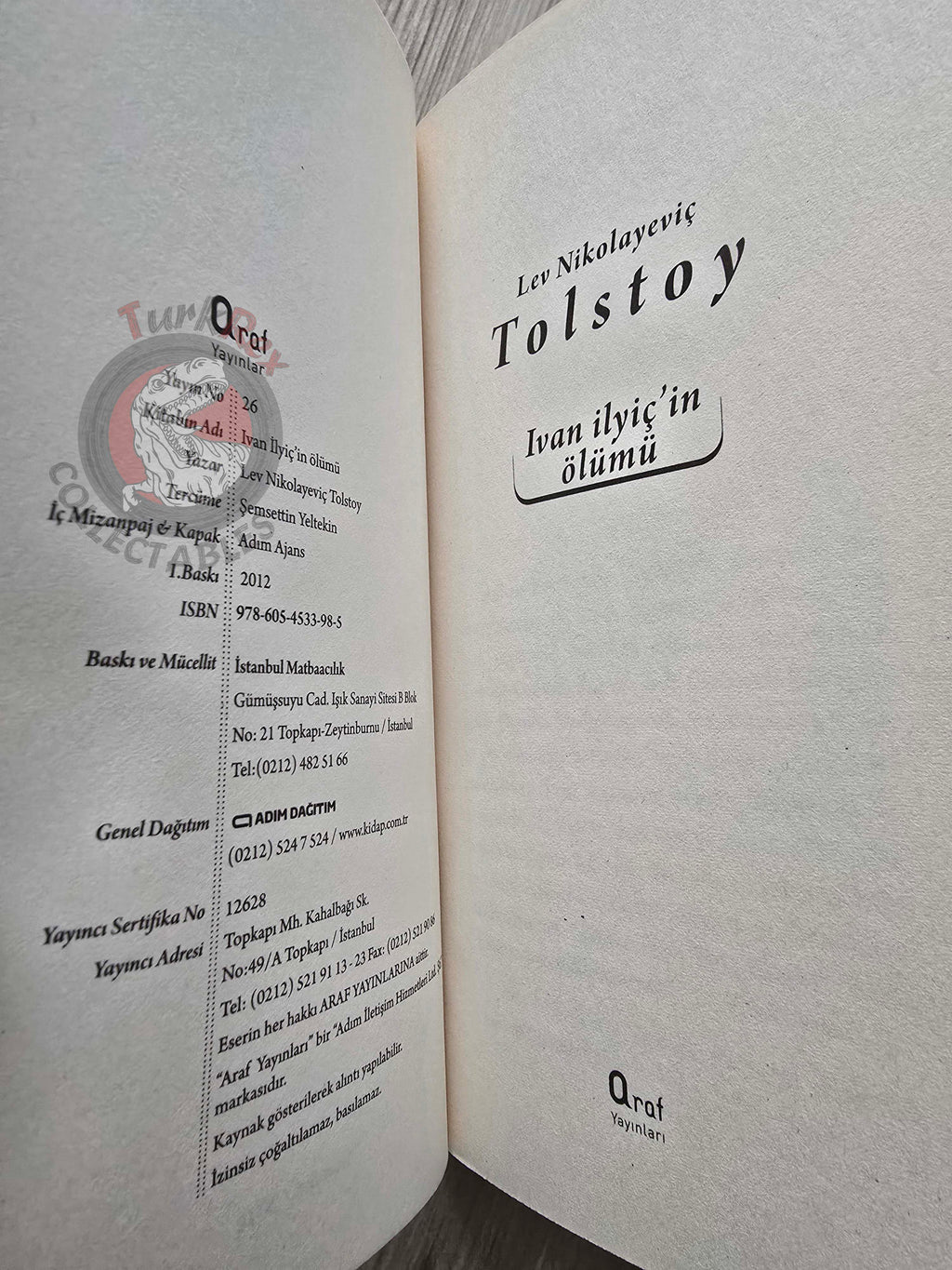 Leo Tolstoy – The Death of Ivan Ilyich 2012 Turkish Book Turkey