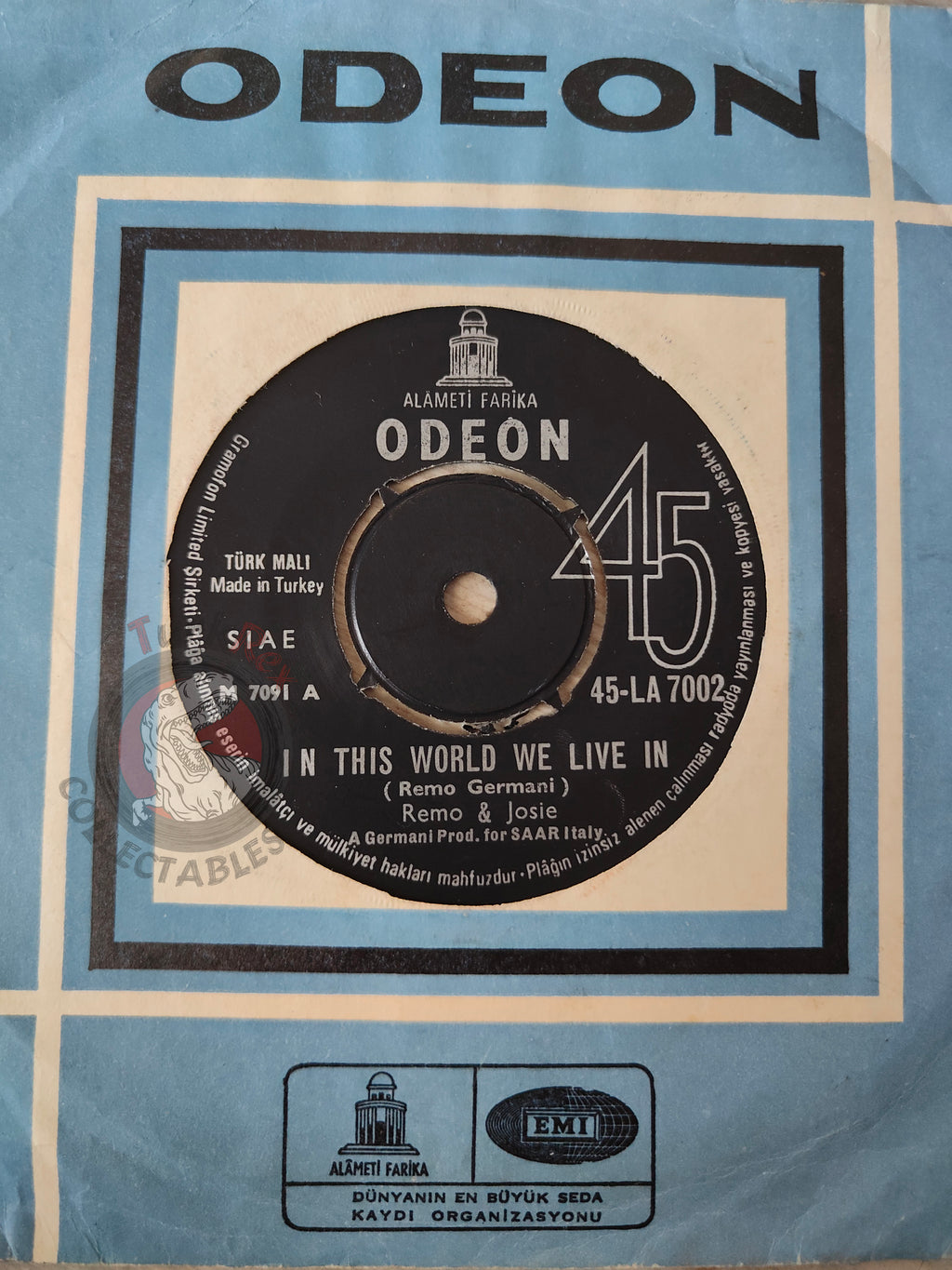 Remo & Josie – In This World We Live In 7" Turkish Pressing Vinyl Turkey Edition