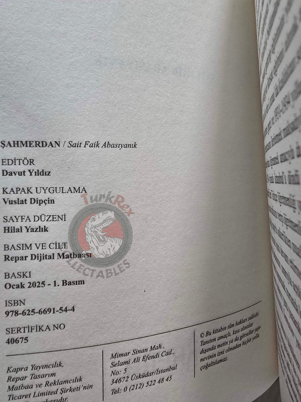 Sait Faik Abasıyanık – Shahmaran Şahmerdan 2025 Turkish Book Turkey