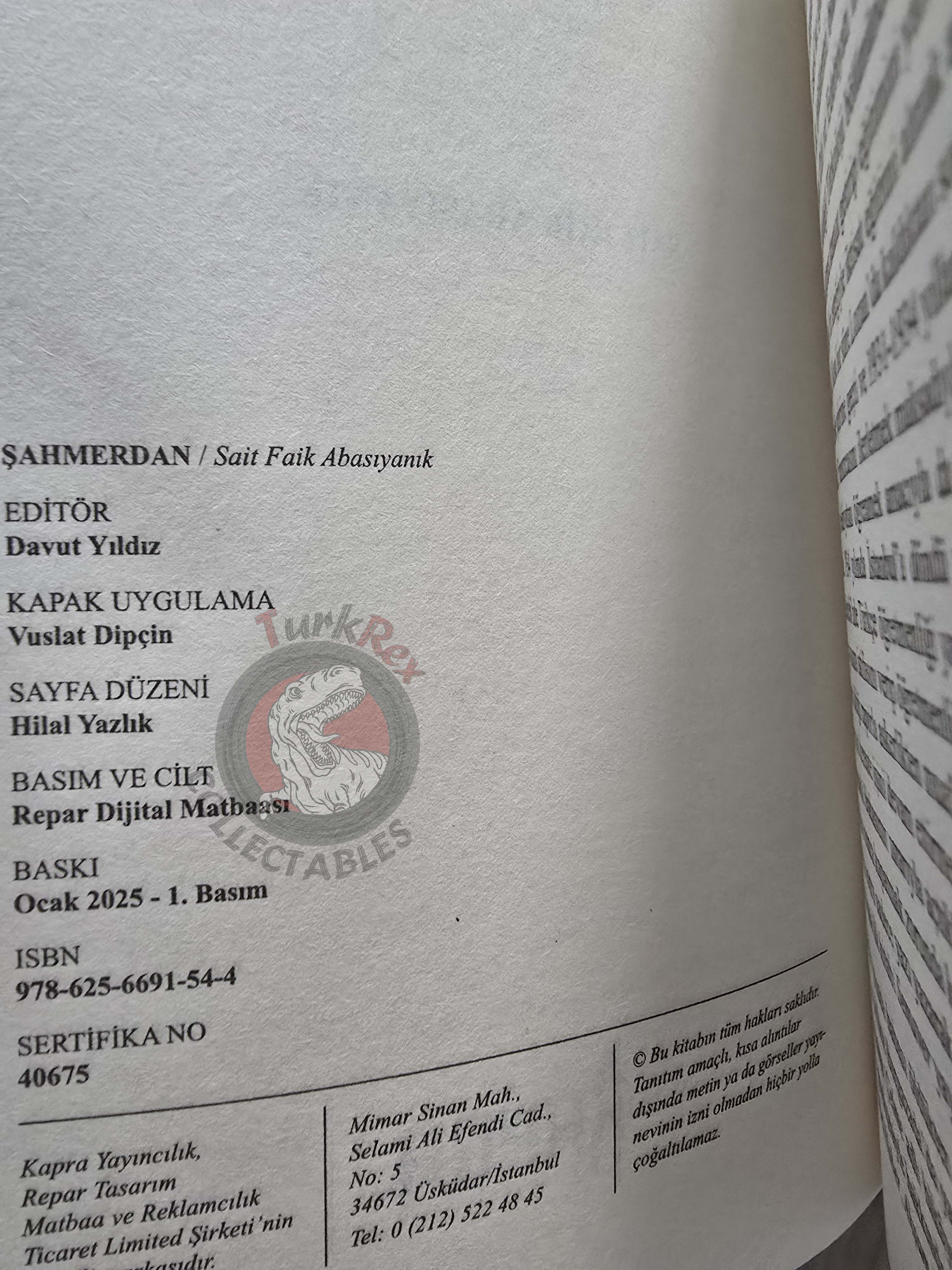 Sait Faik Abasıyanık – Shahmaran Şahmerdan 2025 Turkish Book Turkey