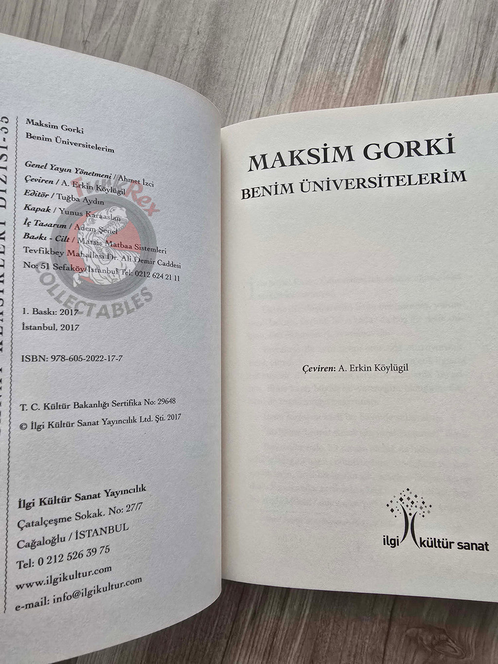 Maxim Gorky – My Universities 2017 Turkish Book Turkey