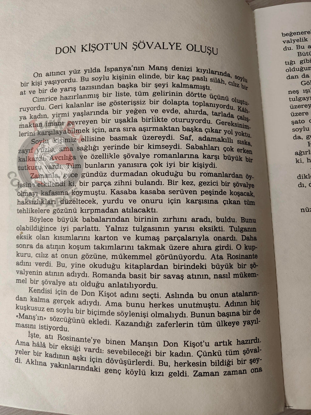 Miguel de Cervantes – Don Quixote 1980s HC Turkish Book Turkey Illustrated Philippe Degrave