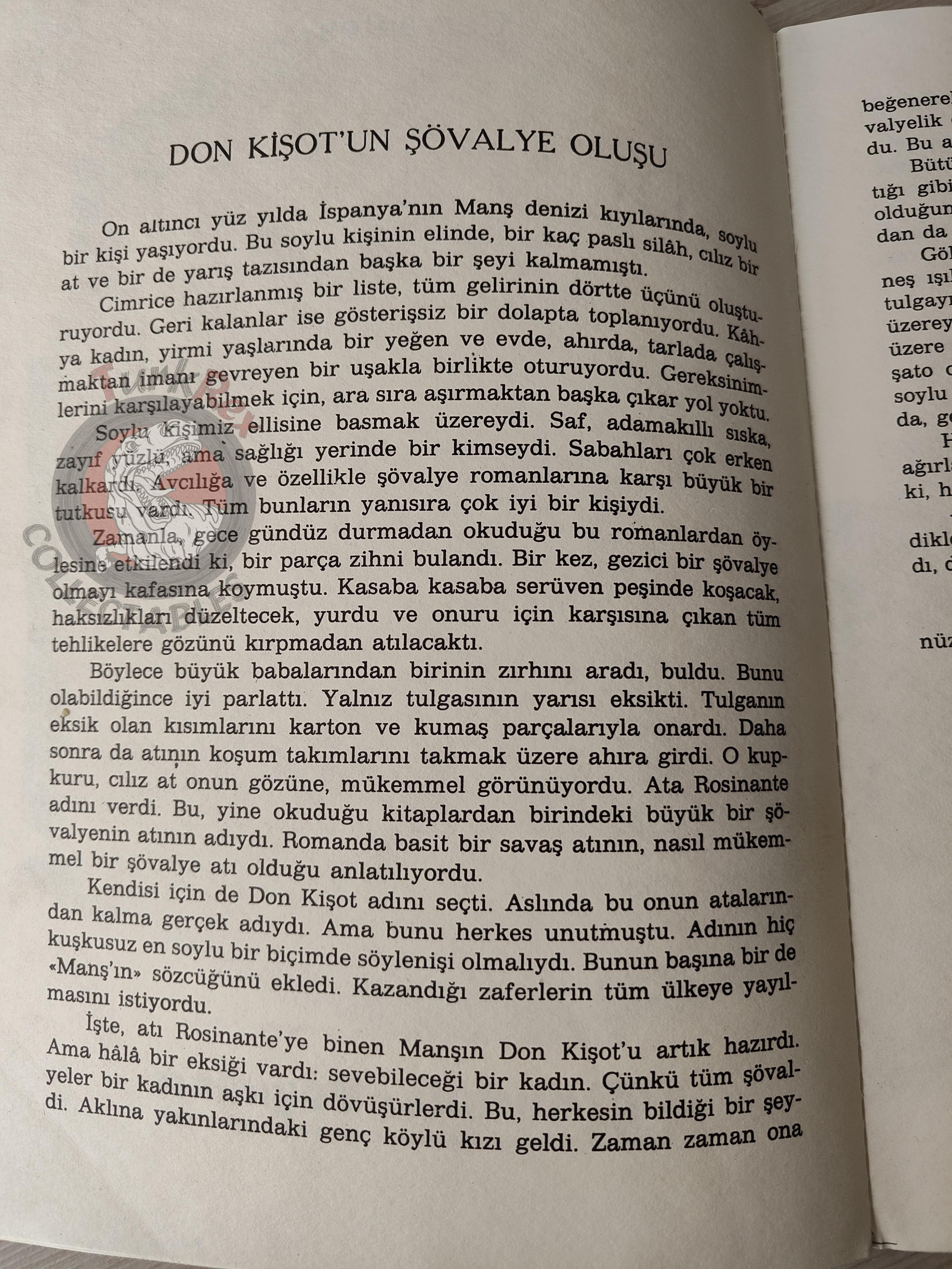 Miguel de Cervantes – Don Quixote 1980s HC Turkish Book Turkey Illustrated Philippe Degrave