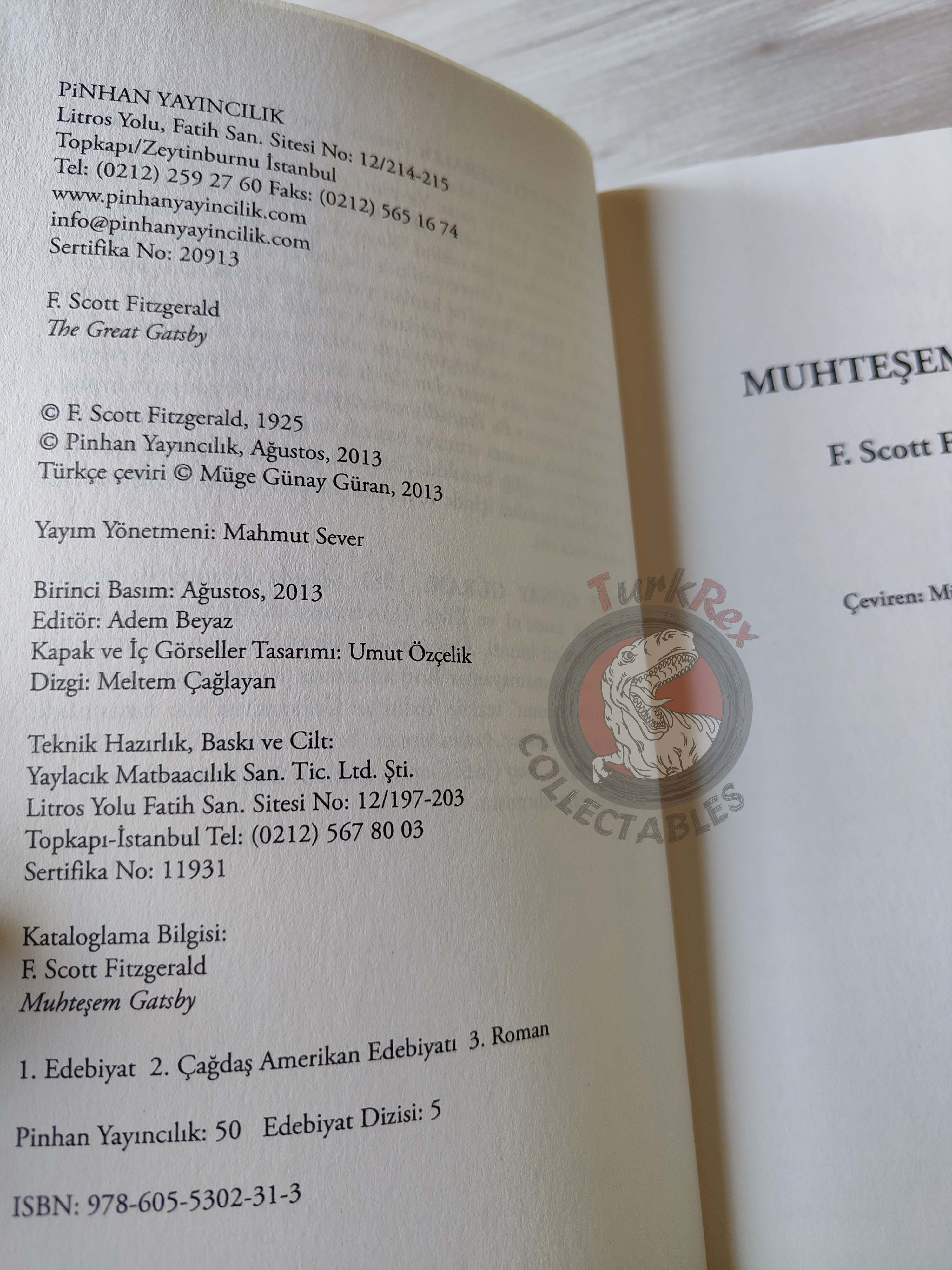 F. Scott Fitzgerald  – The Great Gatsby 2013 Illustrated Turkish Book Turkey