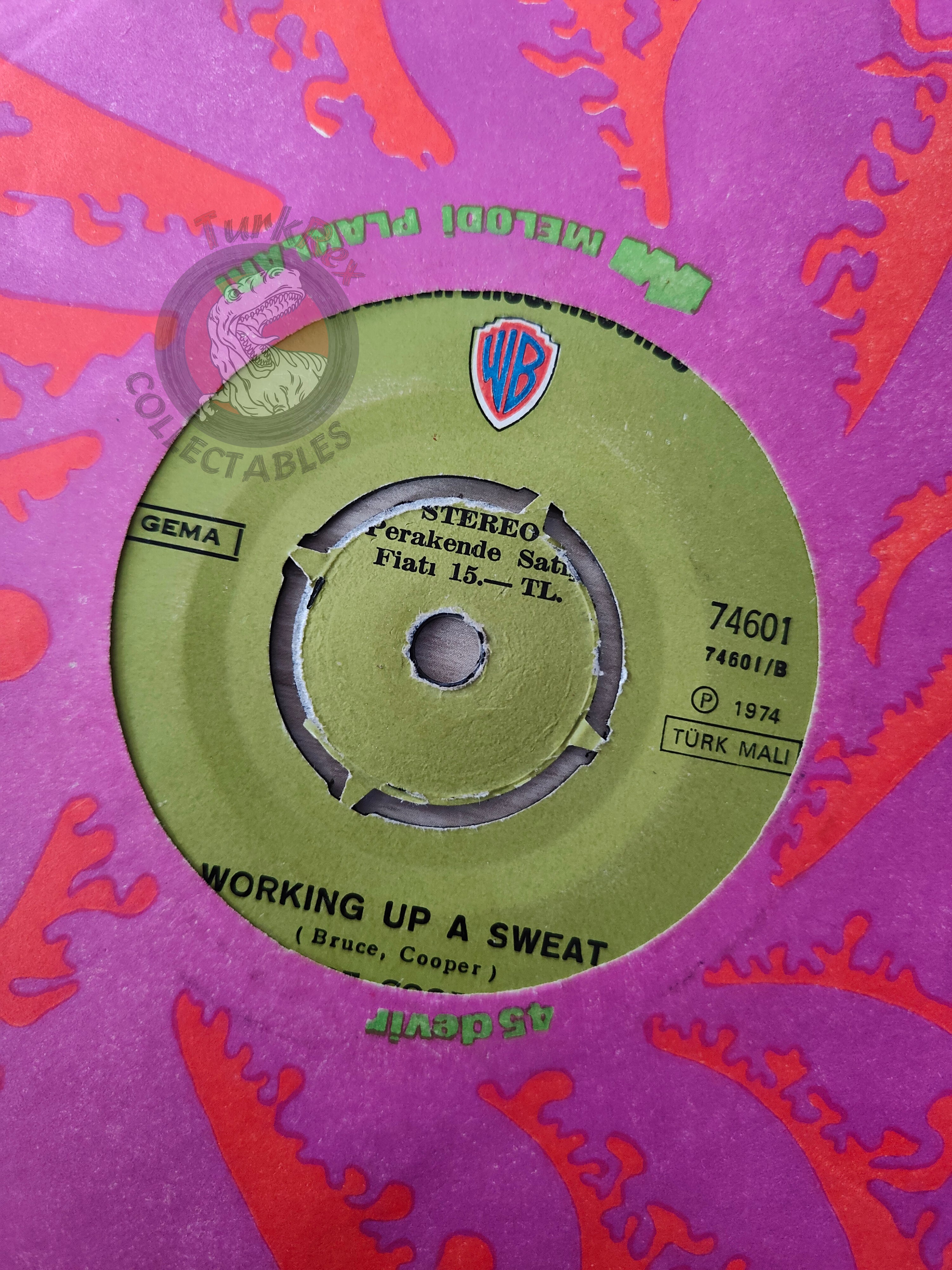 Alice Cooper – Teenage Lament '74 7" Turkish Pressing Vinyl Turkey Edition