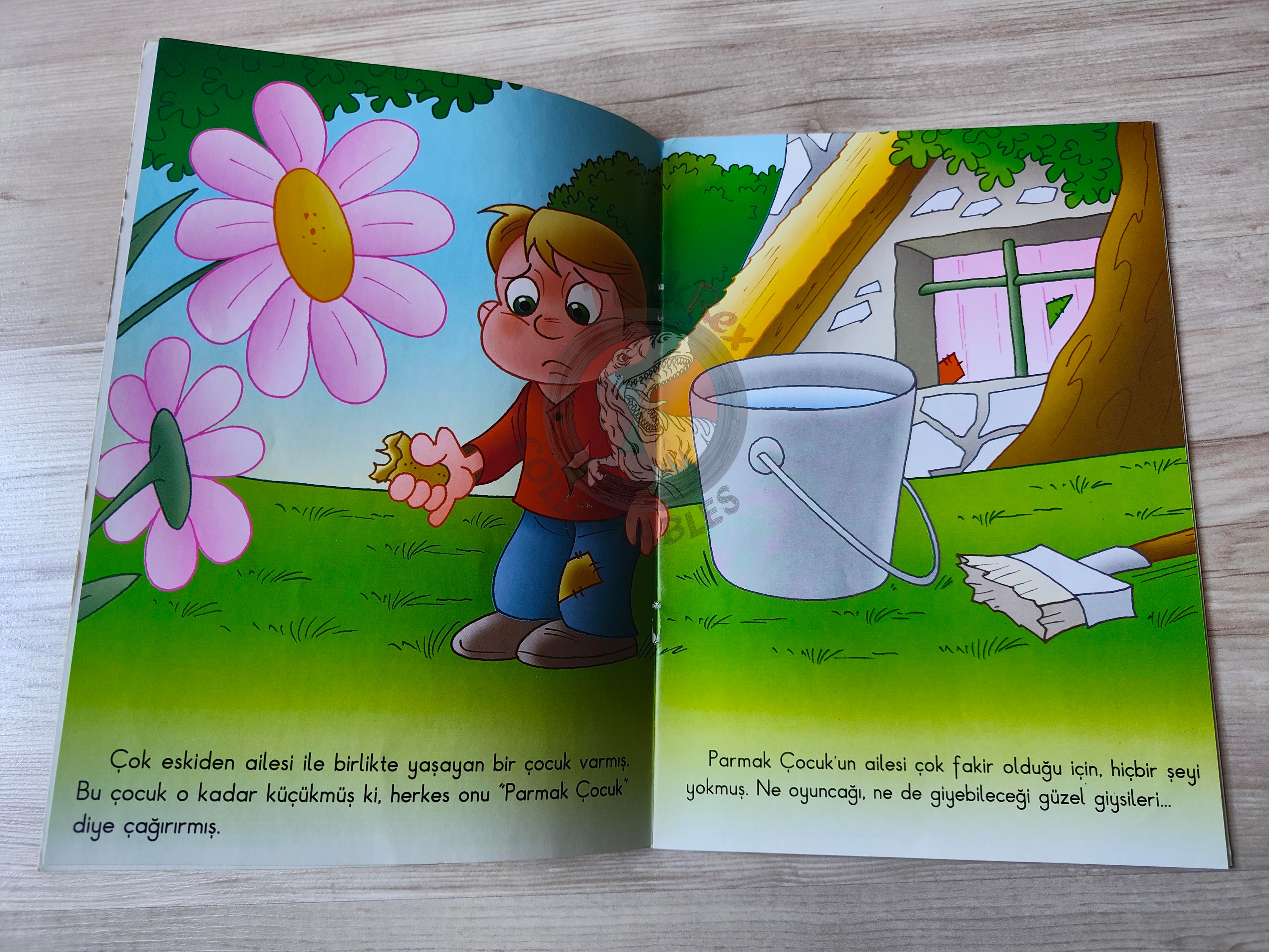 Grimm Brothers – Tom Thumb 2009 Turkish Book Turkey Illustrated
