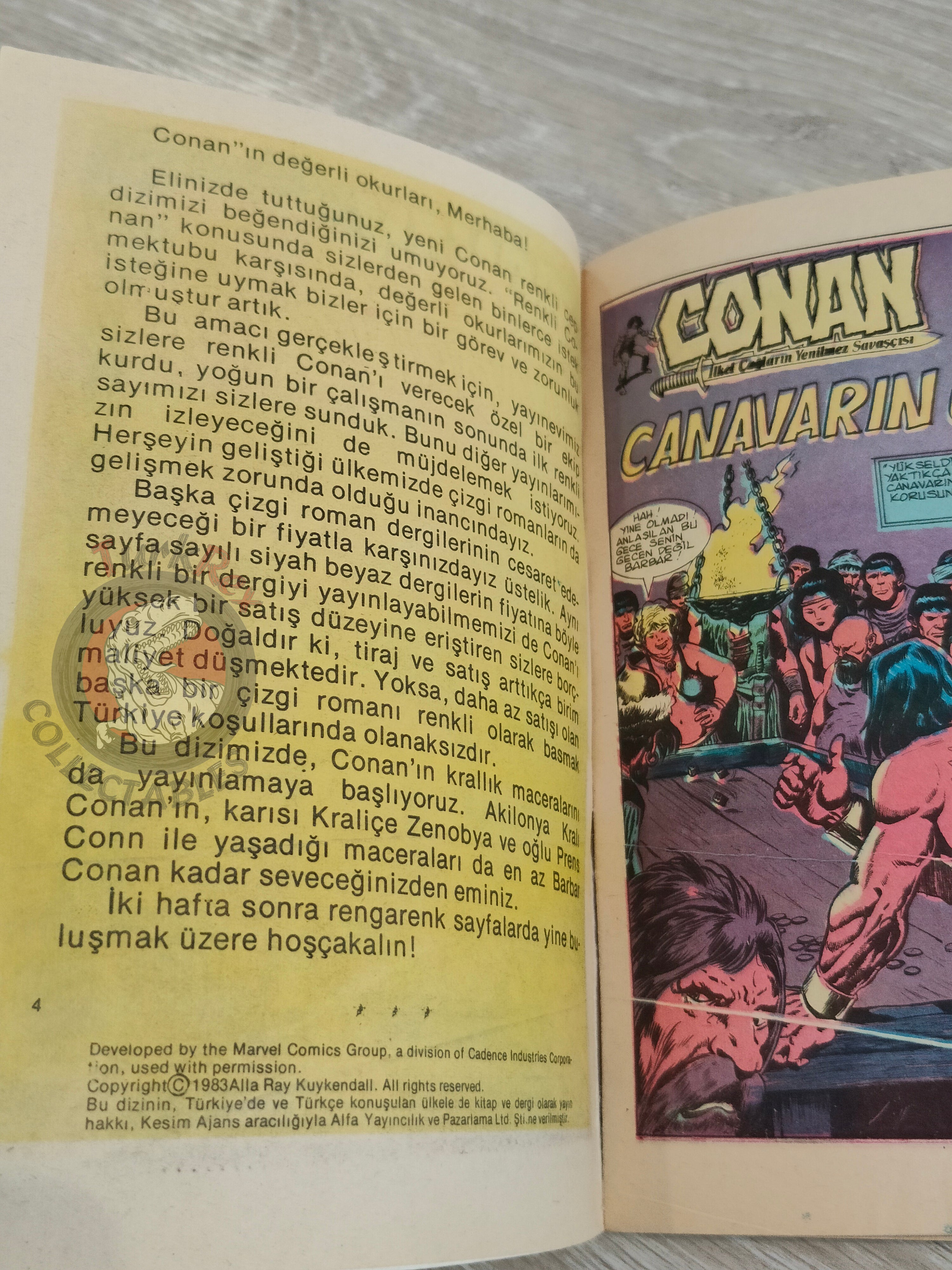 Conan Renkli #1 Turkish Comic Turkey CTB #114 The Savage Sword of Conan #1